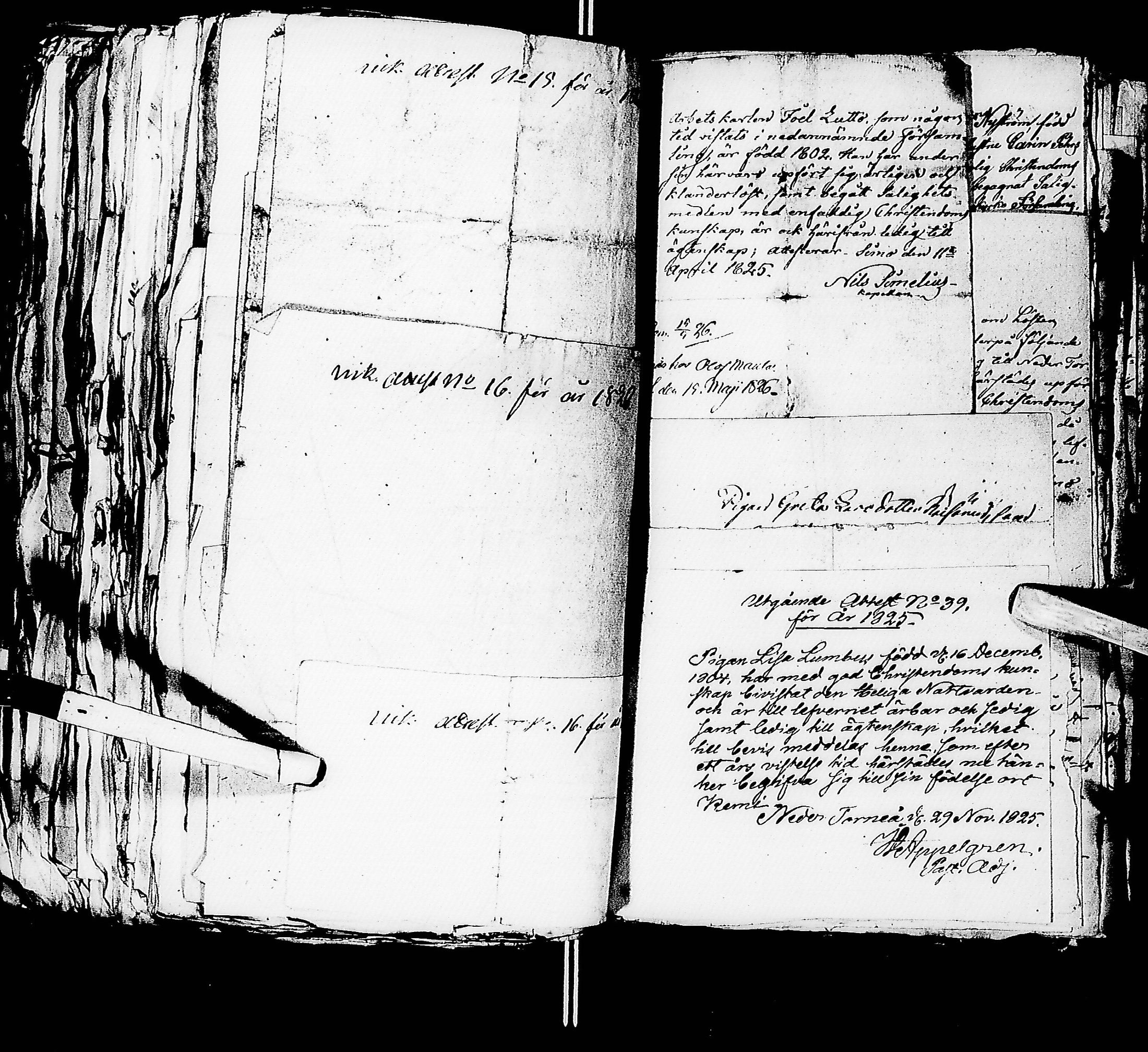 [ kuvat/992.jpg ]