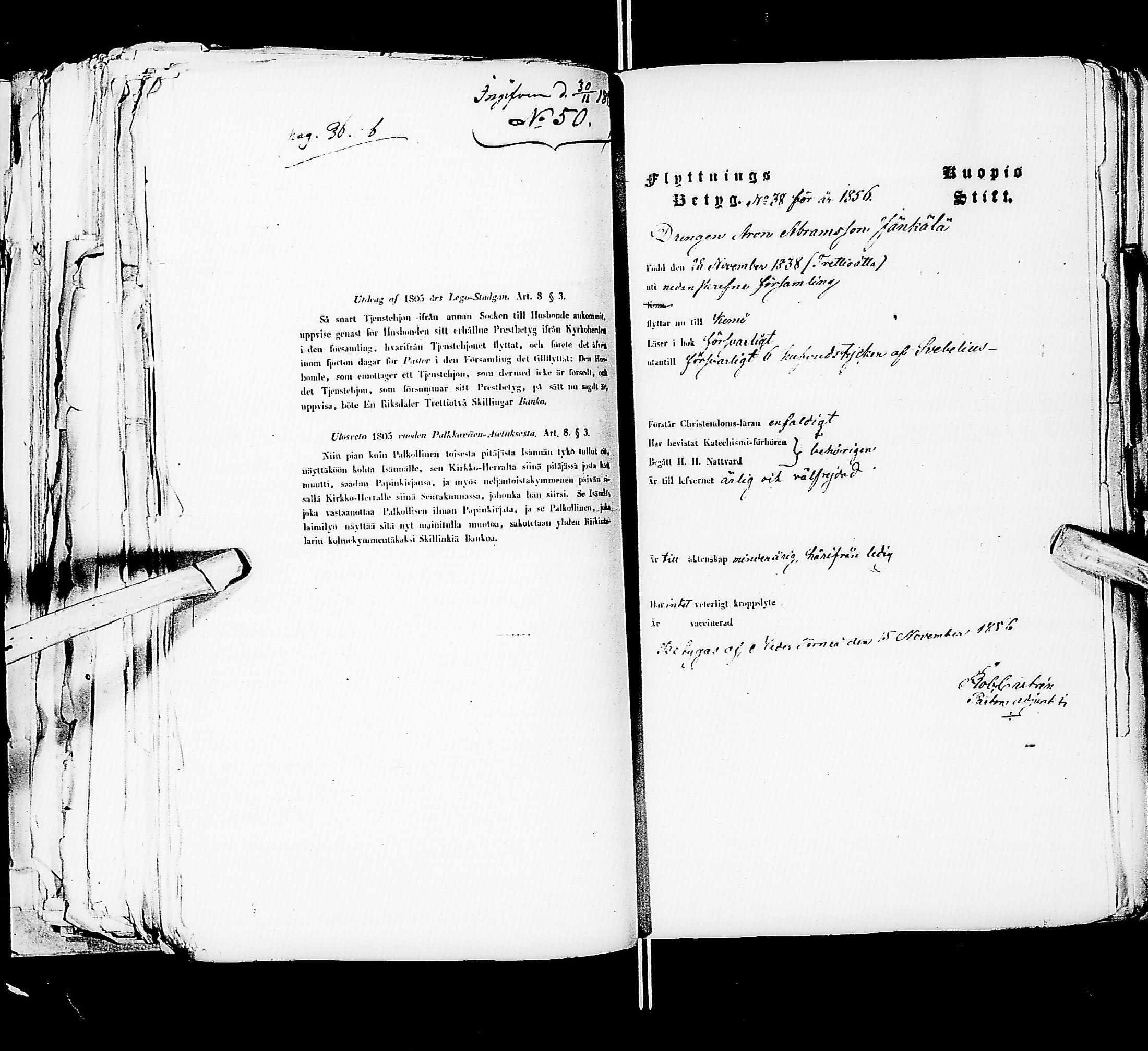 [ kuvat/273.jpg ]