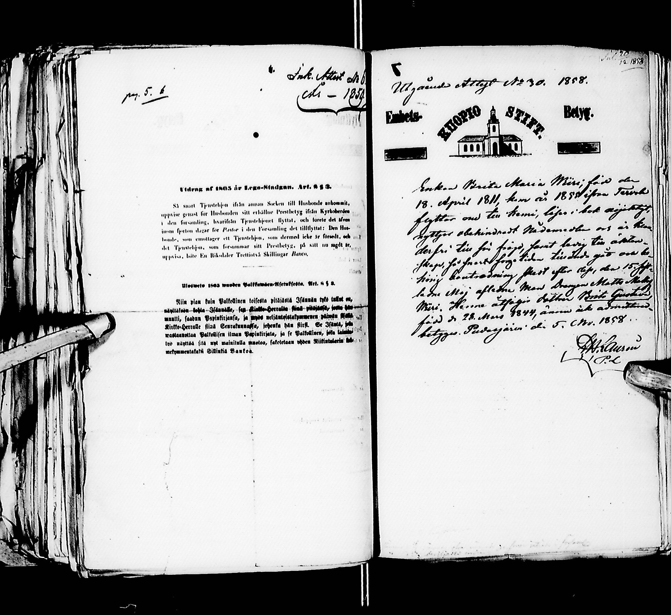 [ kuvat/393.jpg ]