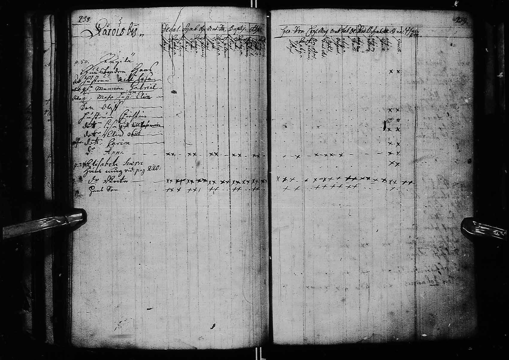 [ kuvat/124.jpg ]