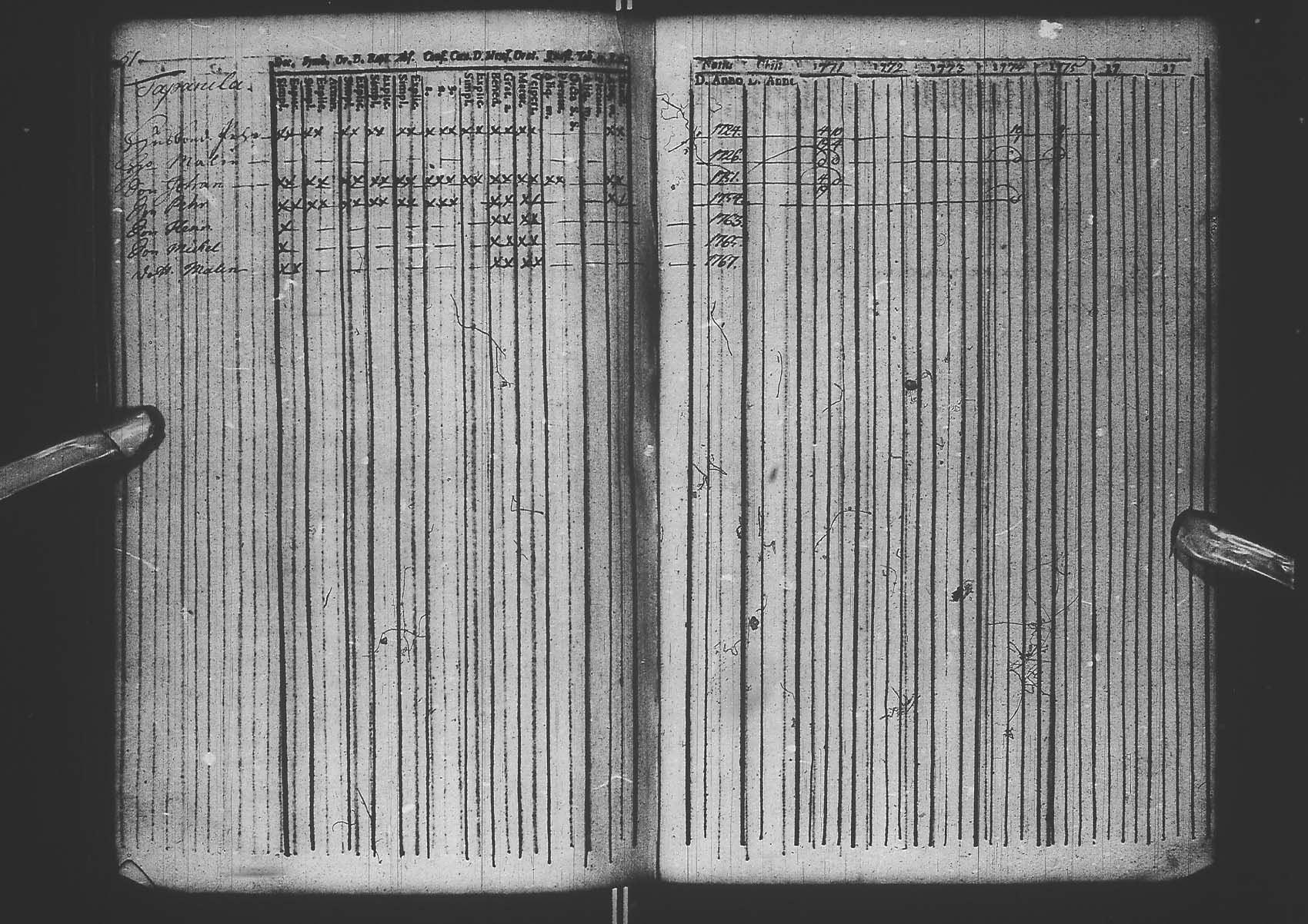 [ kuvat/241.jpg ]