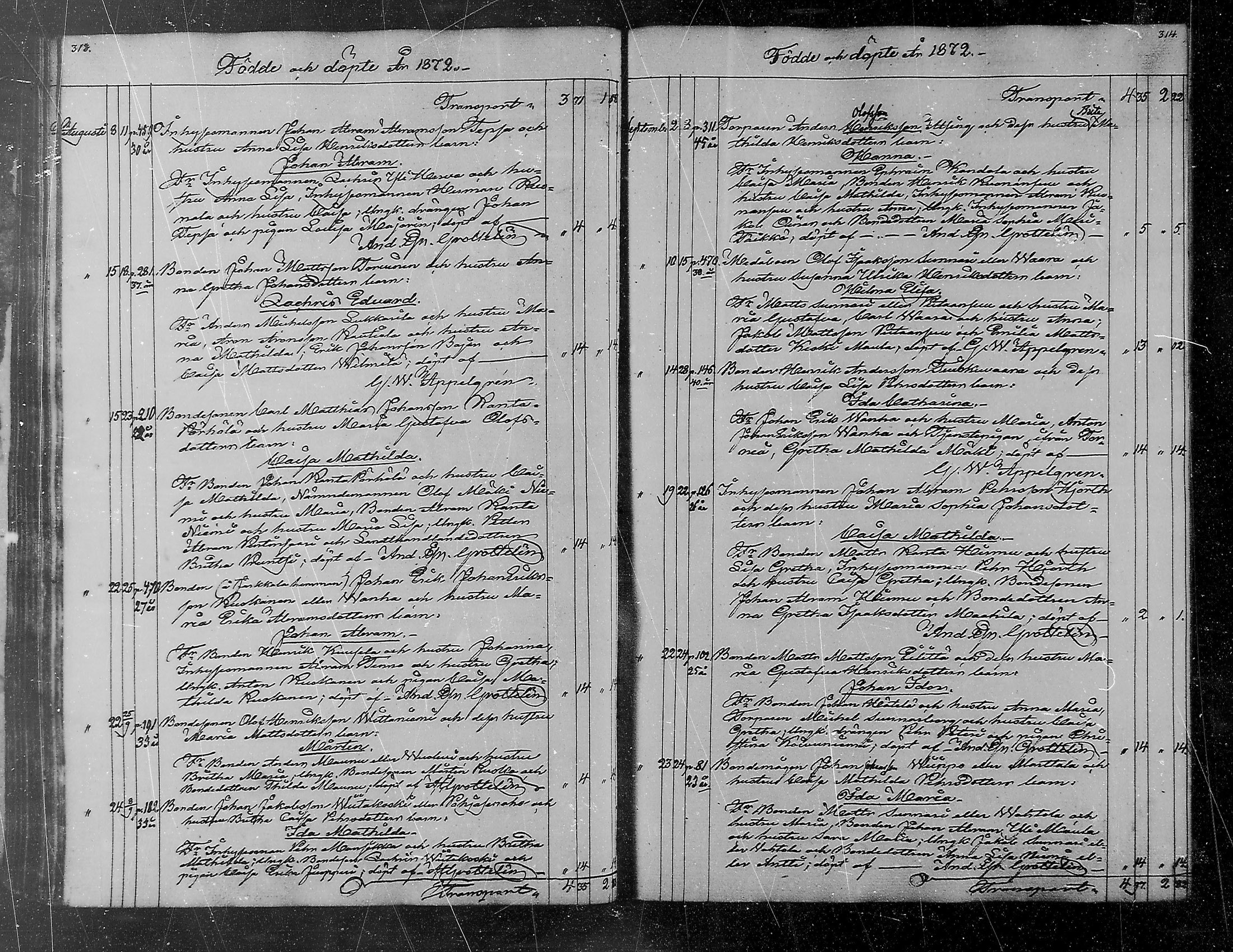 [ kuvat/207.jpg ]