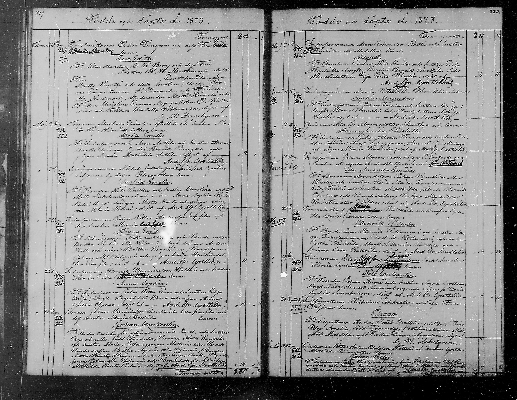 [ kuvat/215.jpg ]