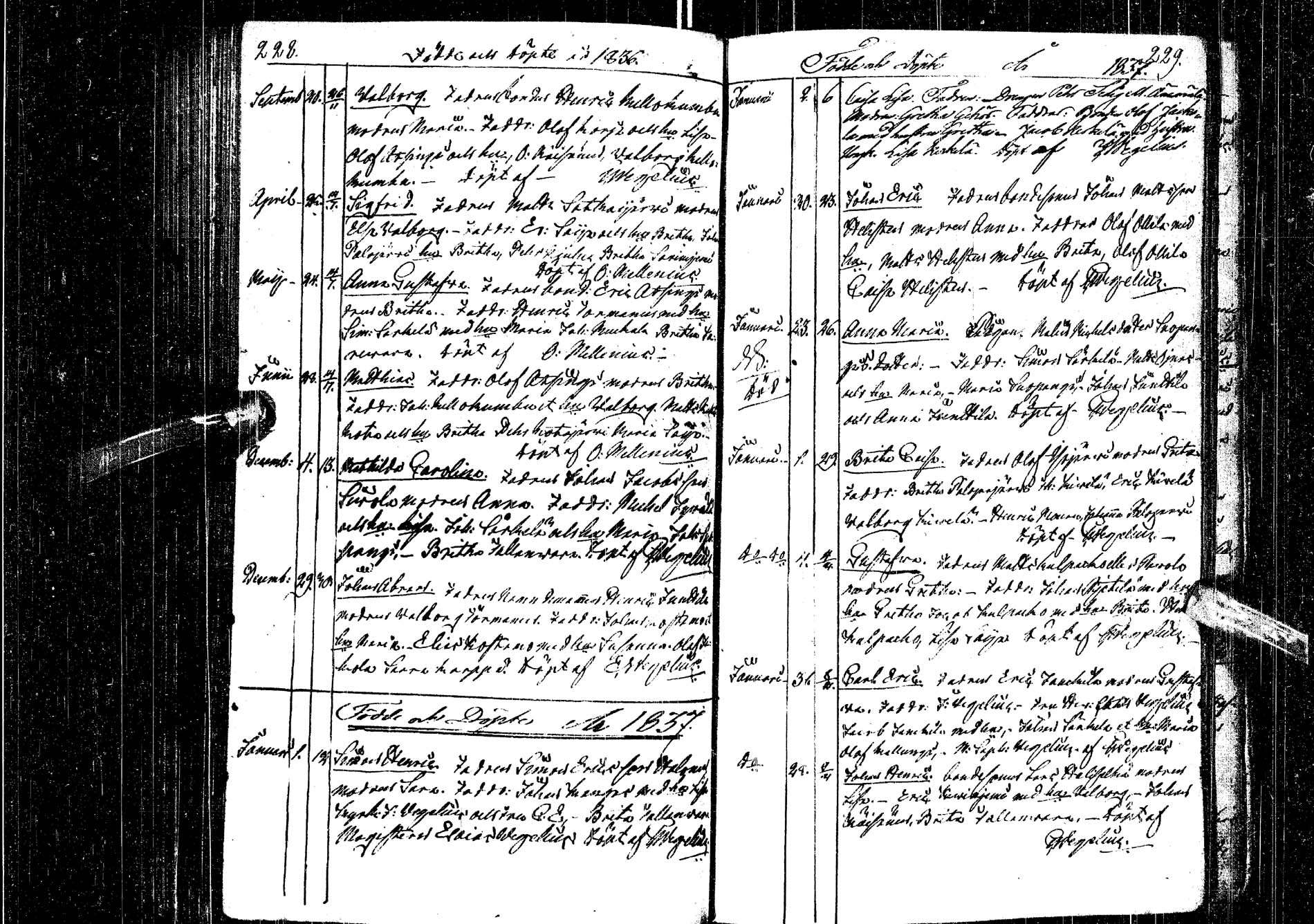 [ kuvat/116.jpg ]
