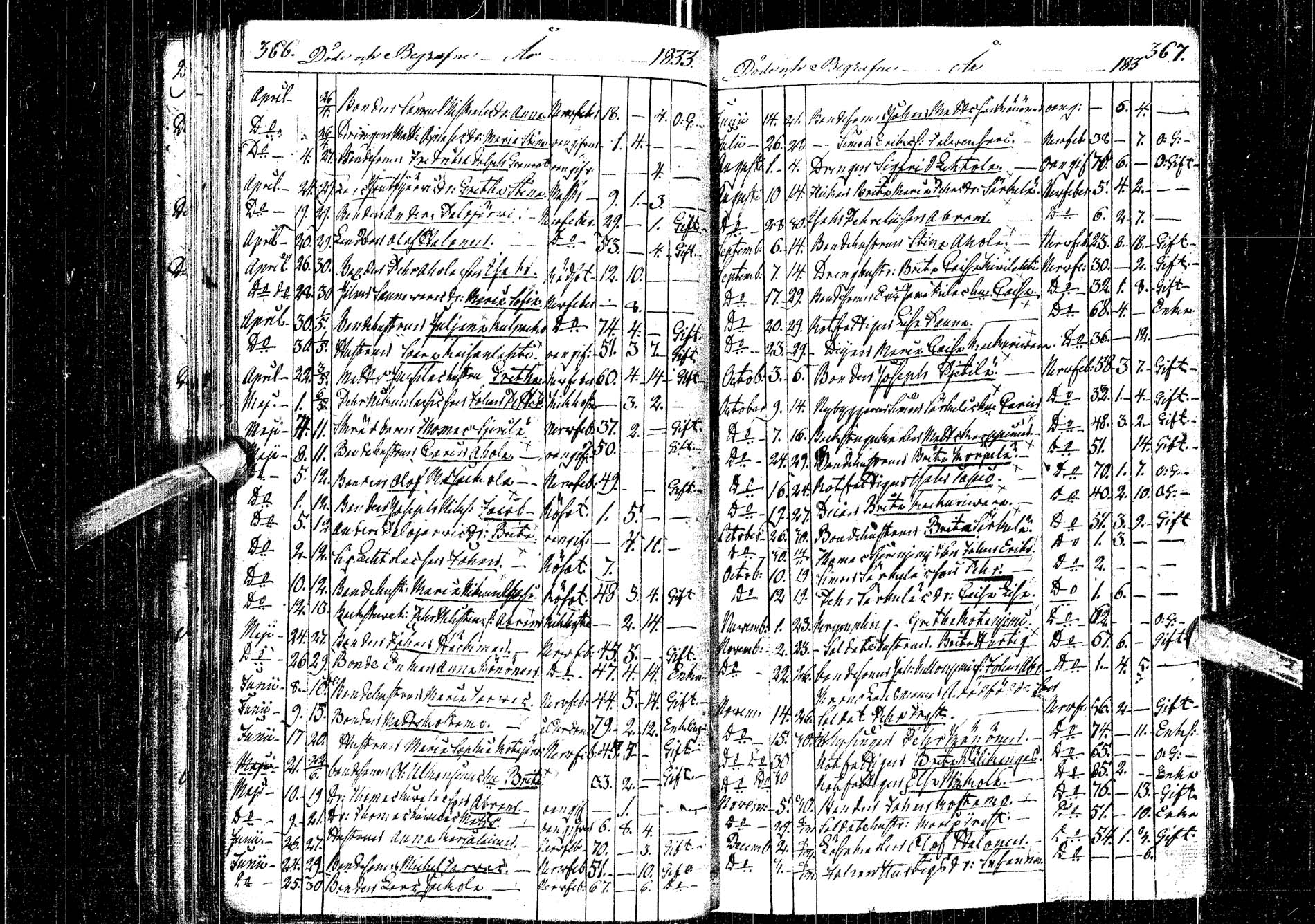 [ kuvat/178.jpg ]