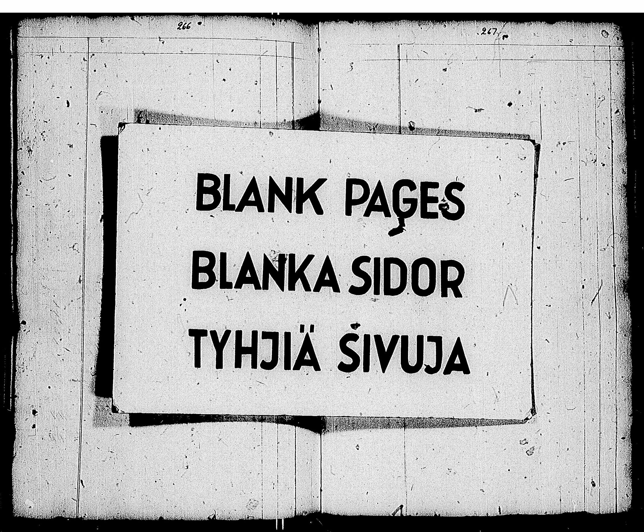 [ kuvat/117.jpg ]