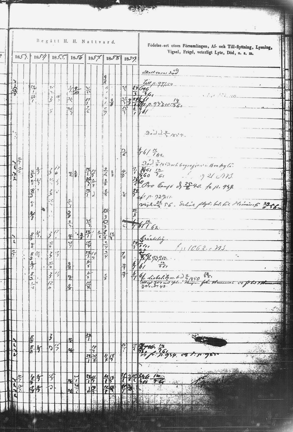 [ kuvat/497.jpg ]