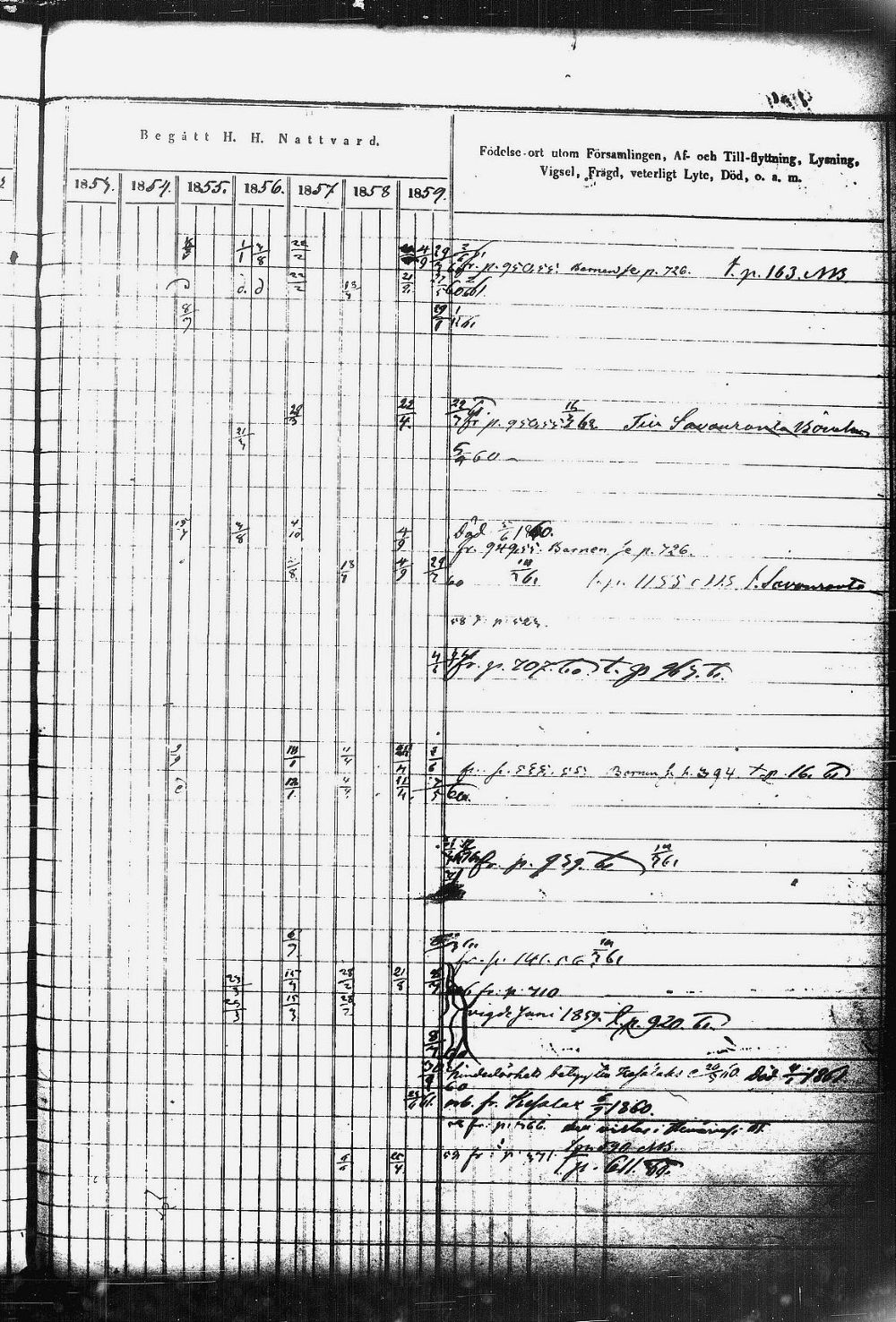 [ kuvat/593.jpg ]