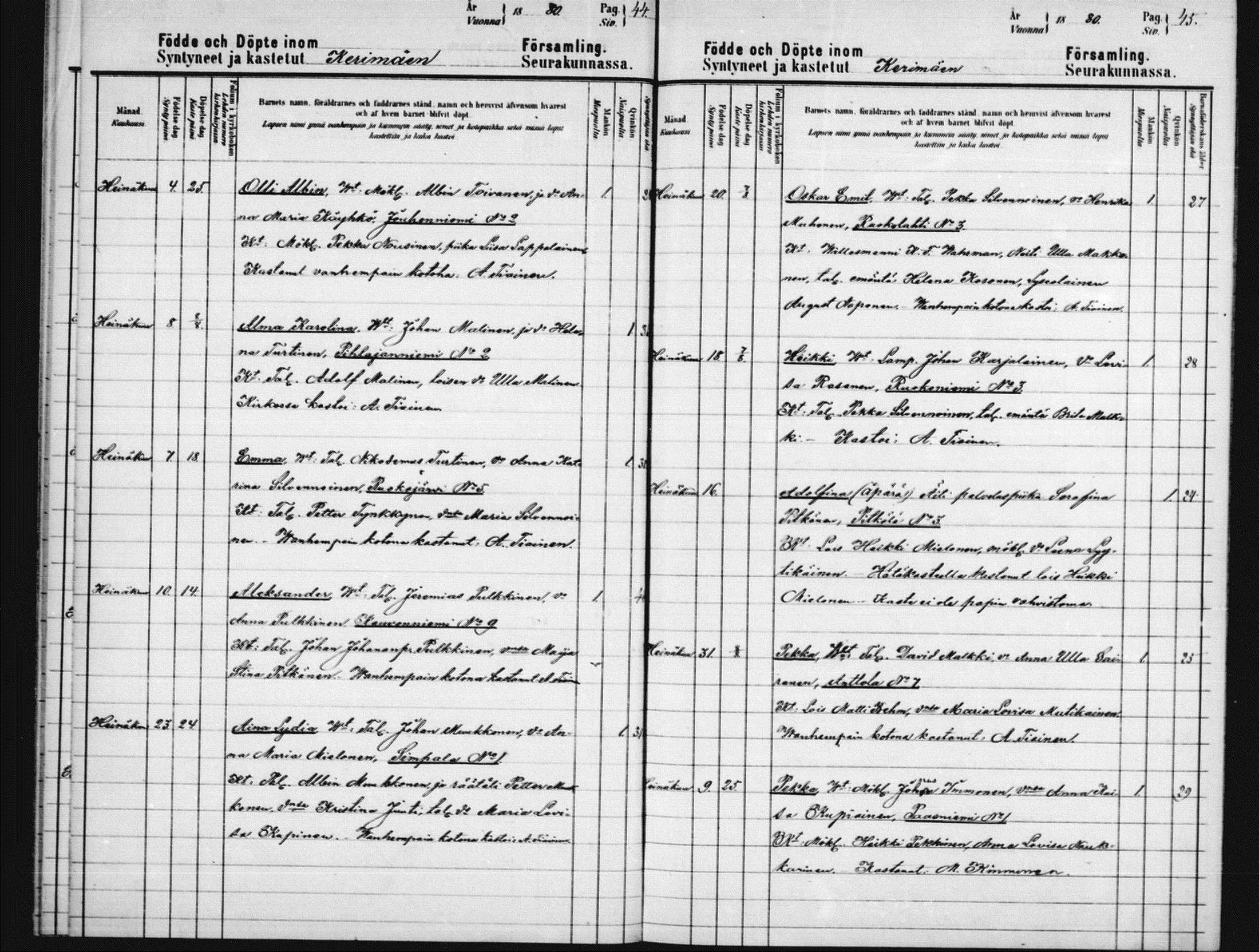[ kuvat/184.jpg ]