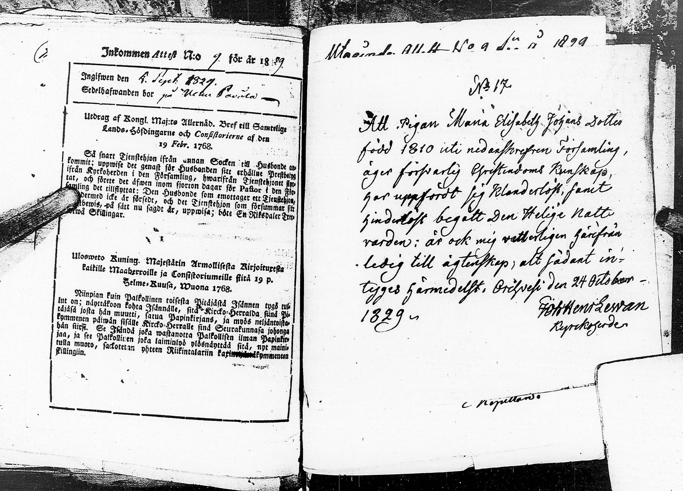 [ kuvat/203.jpg ]