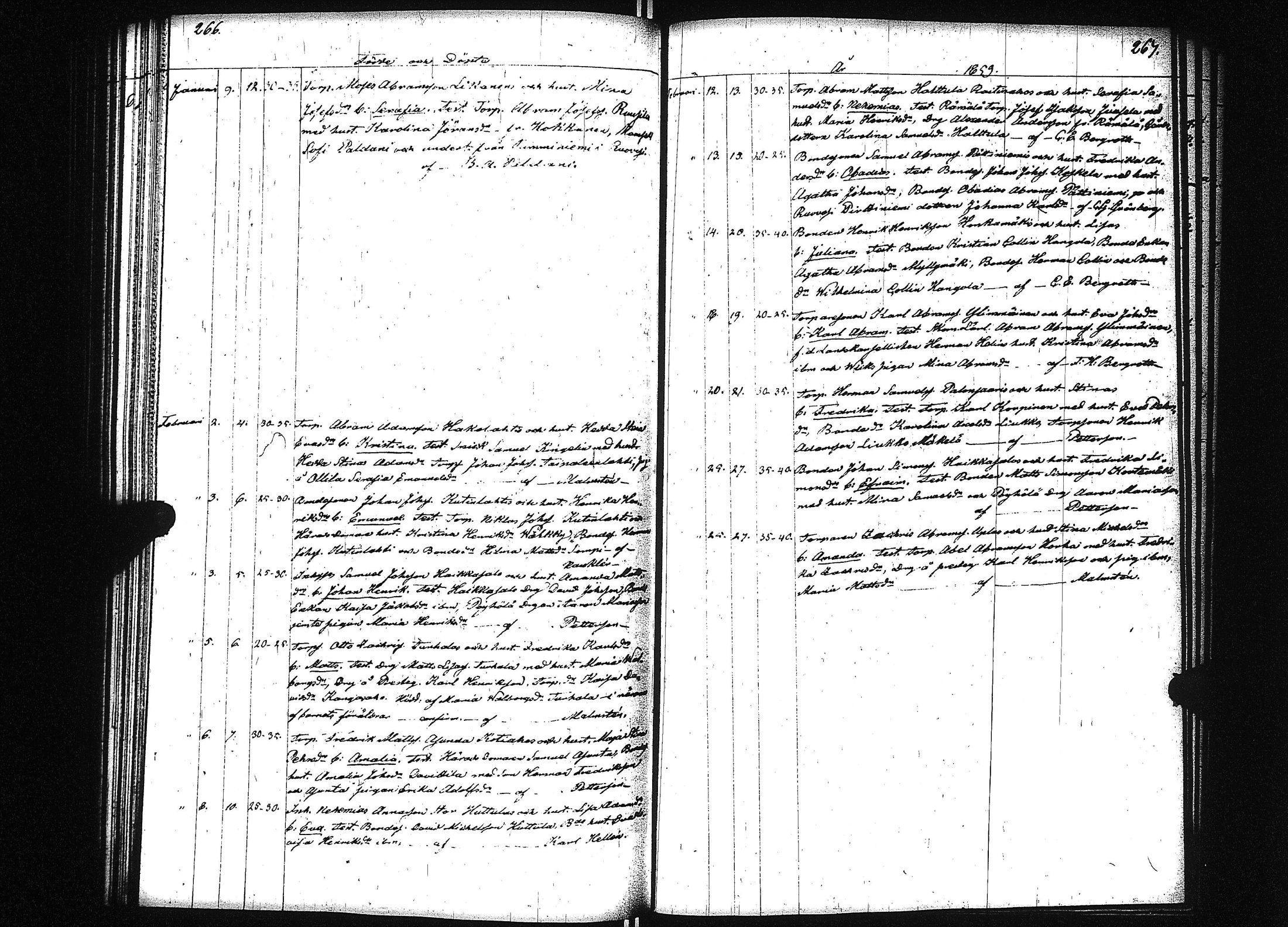 [ kuvat/137.jpg ]