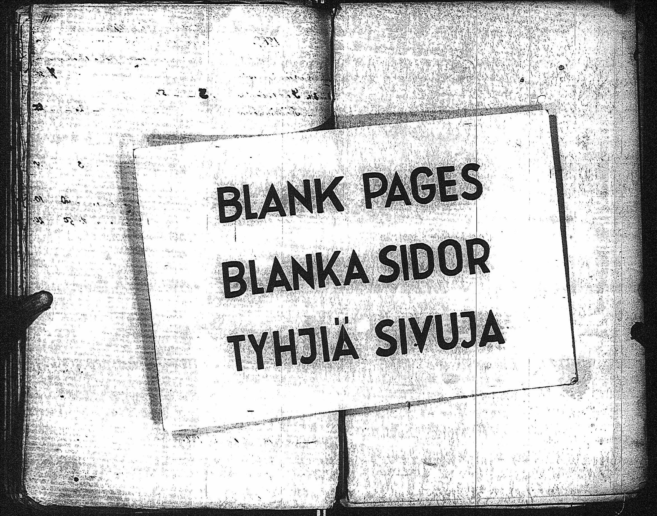 [ kuvat/41.jpg ]
