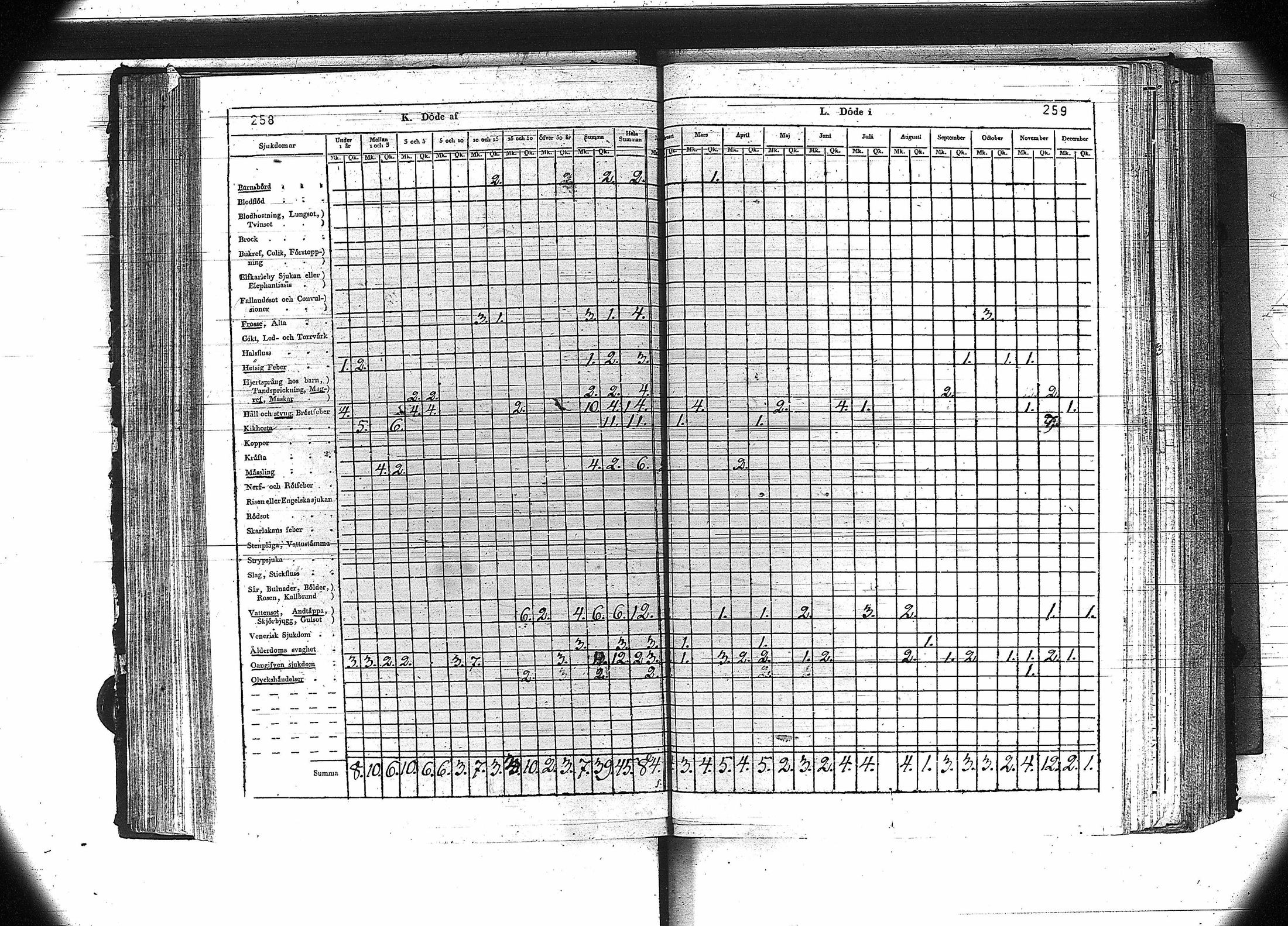 [ kuvat/131.jpg ]