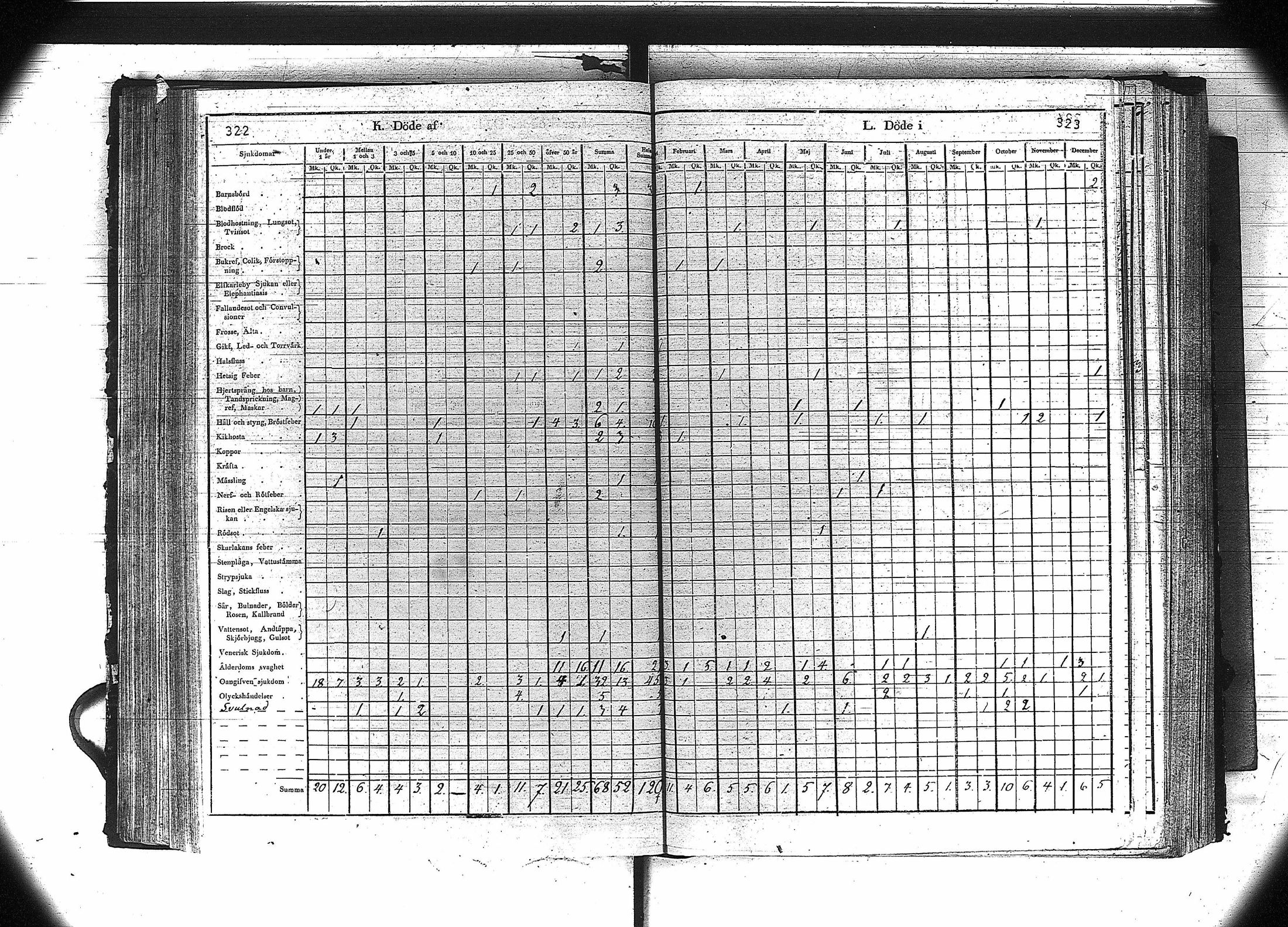 [ kuvat/163.jpg ]