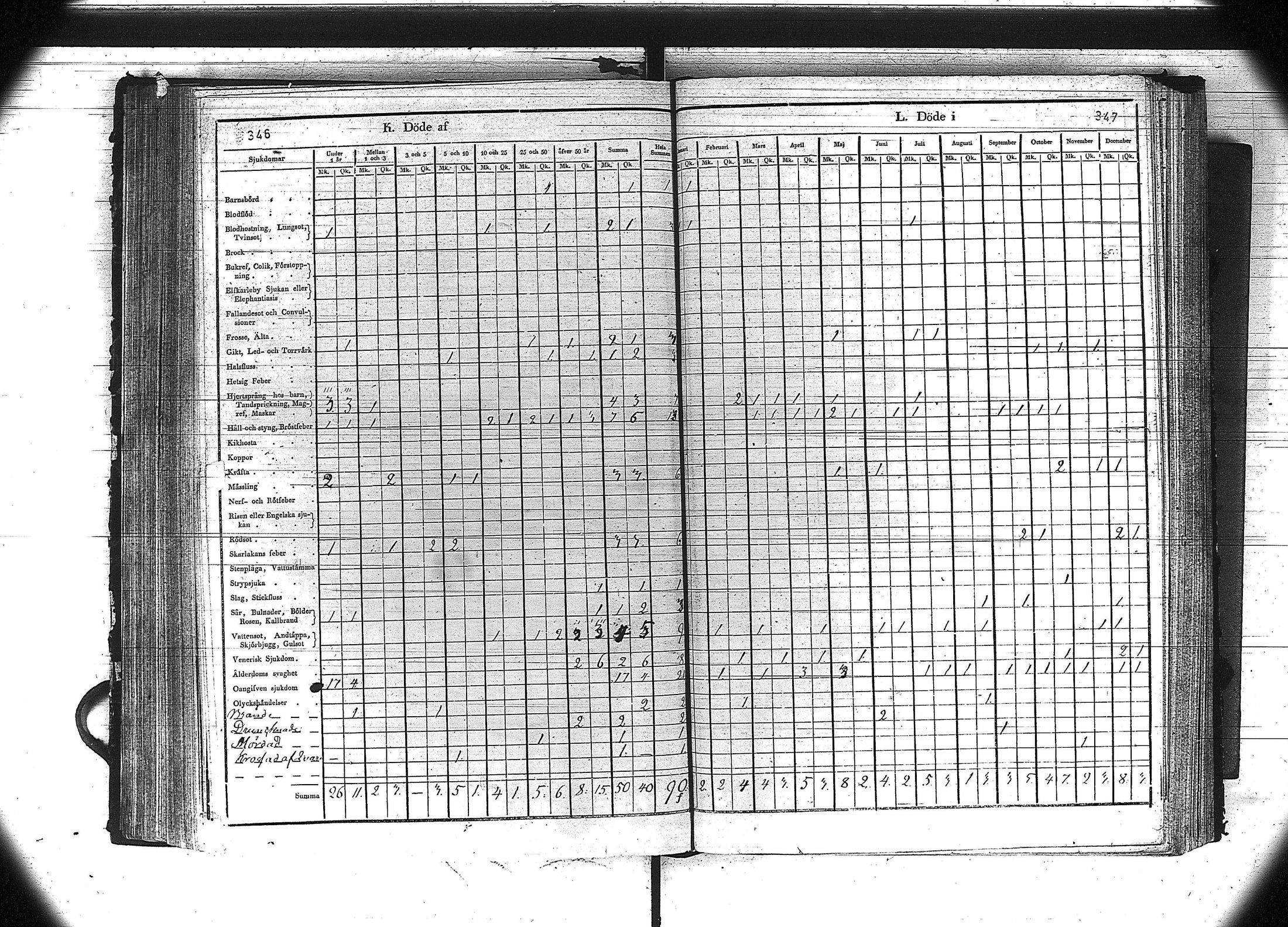[ kuvat/175.jpg ]