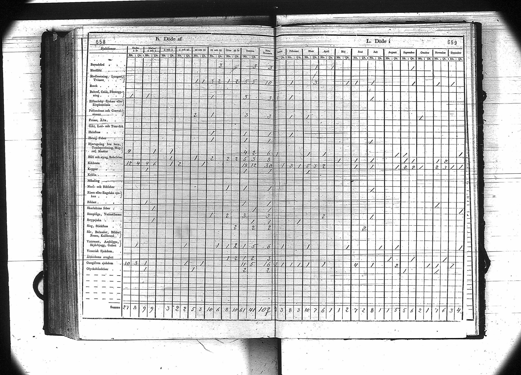 [ kuvat/331.jpg ]