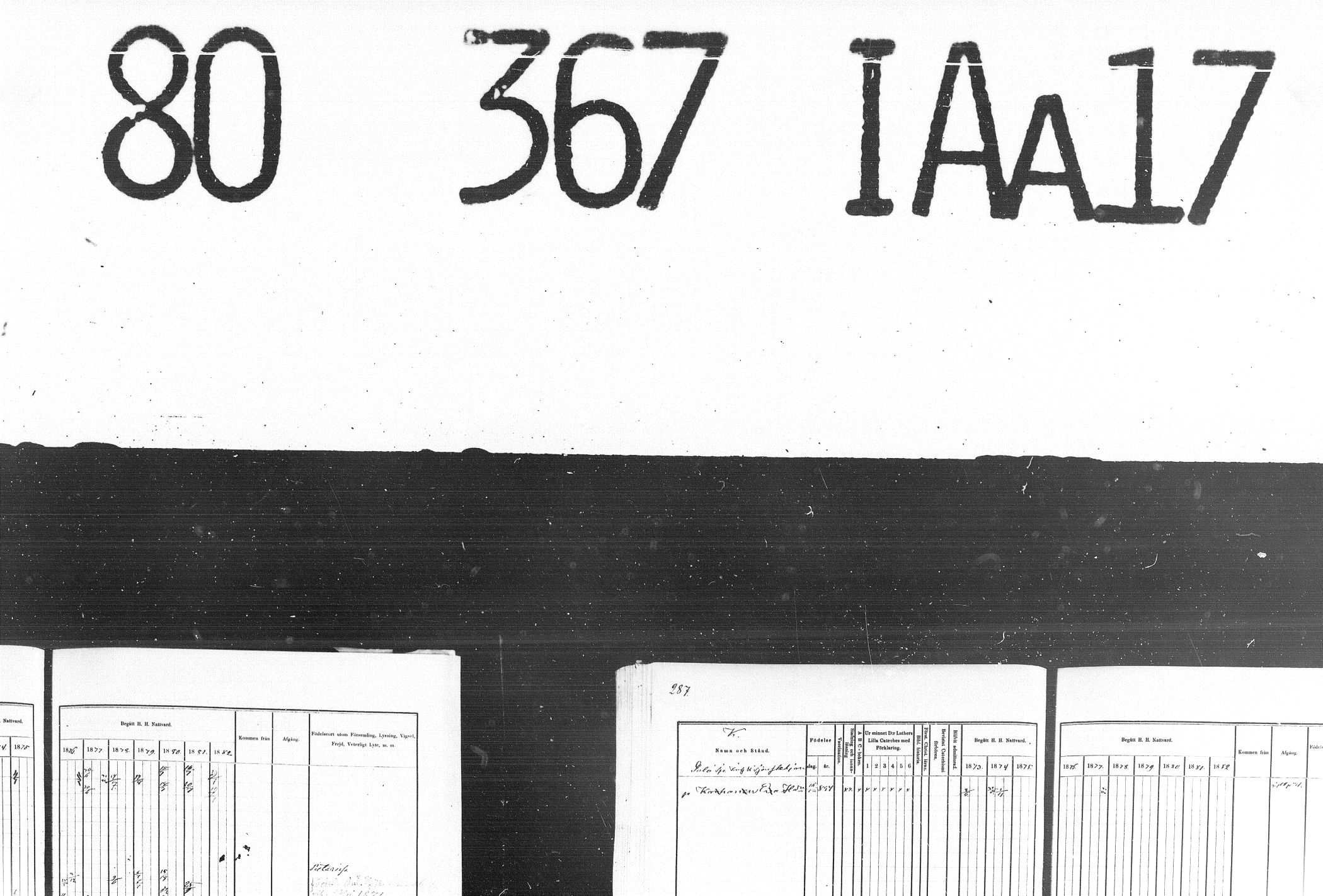 [ kuvat/282.jpg ]