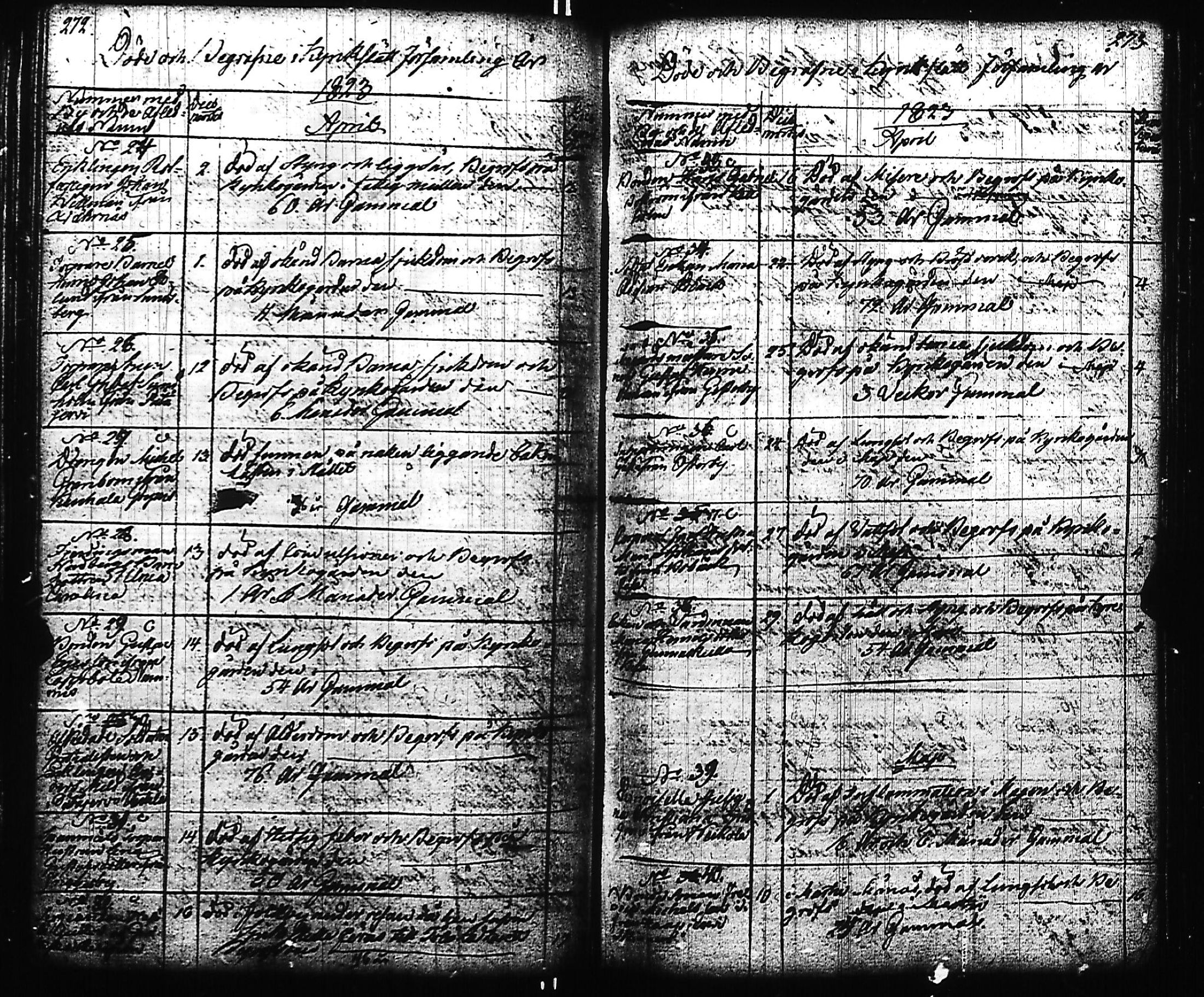 [ kuvat/137.jpg ]