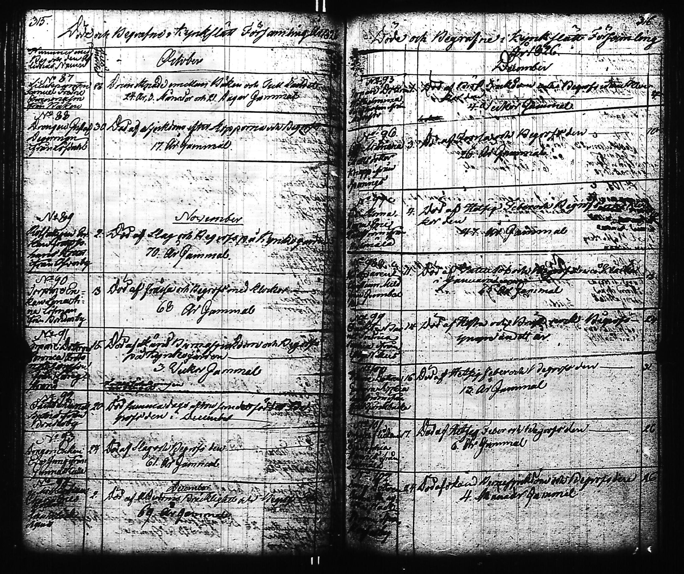 [ kuvat/162.jpg ]