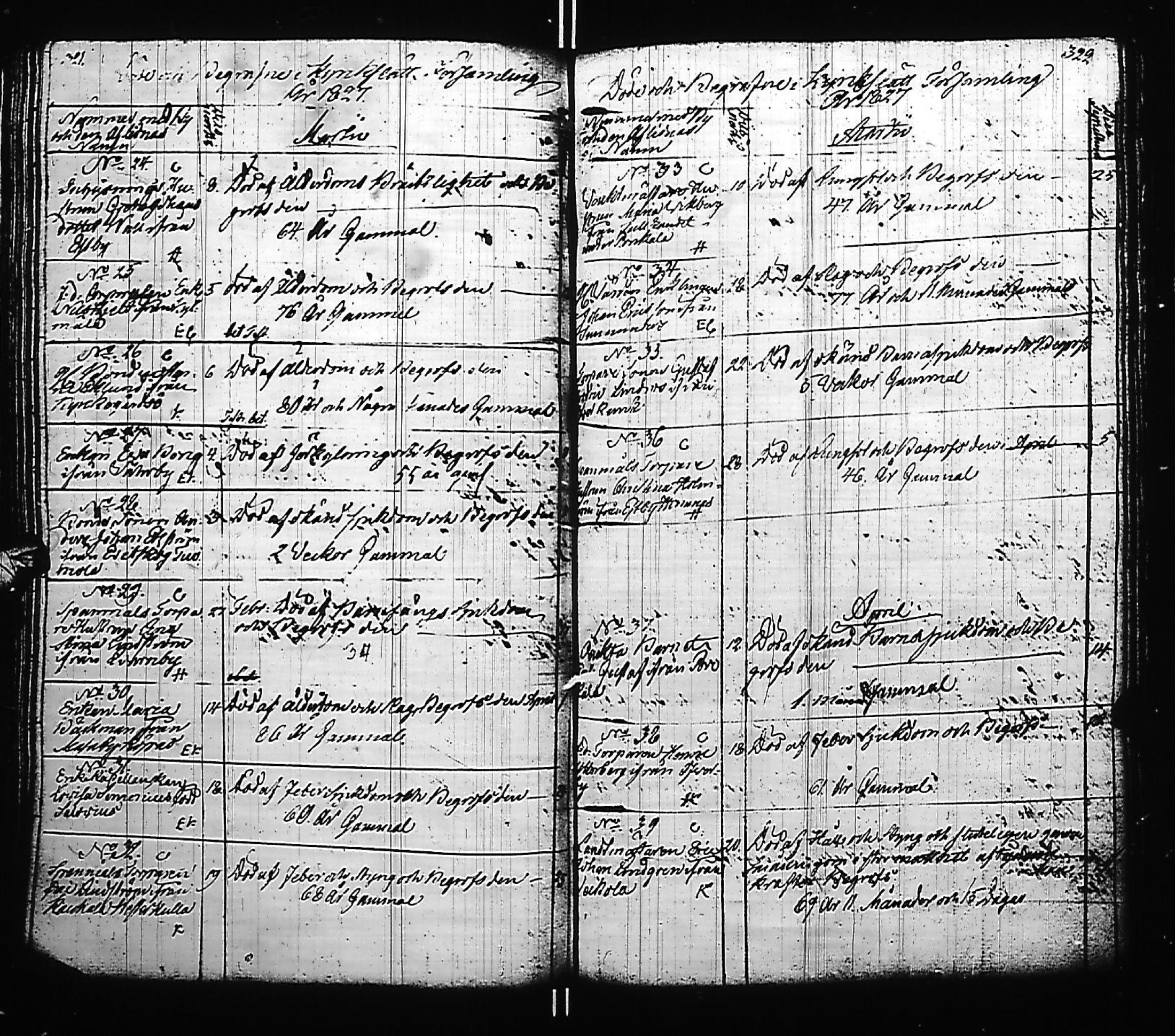 [ kuvat/165.jpg ]