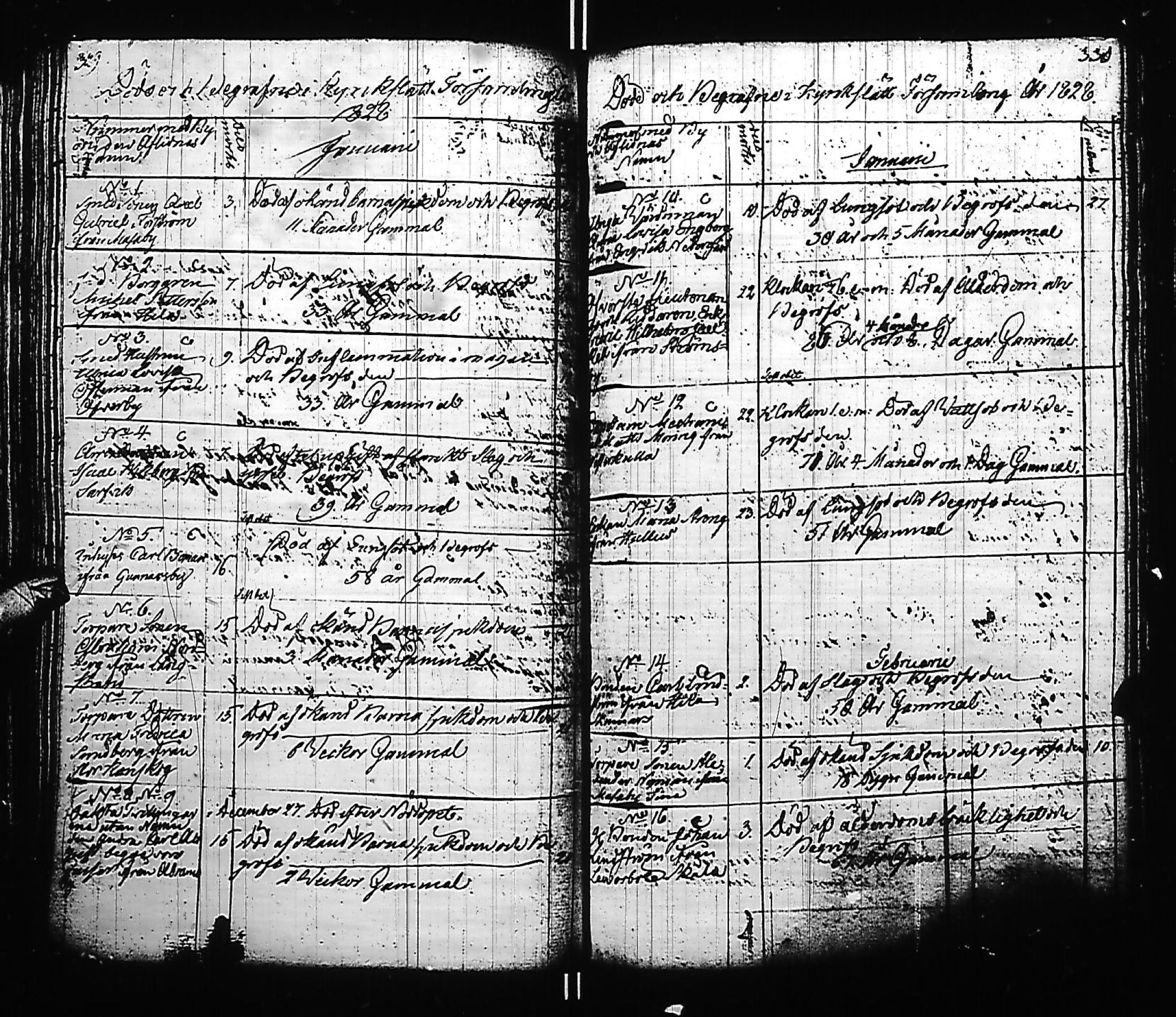 [ kuvat/169.jpg ]