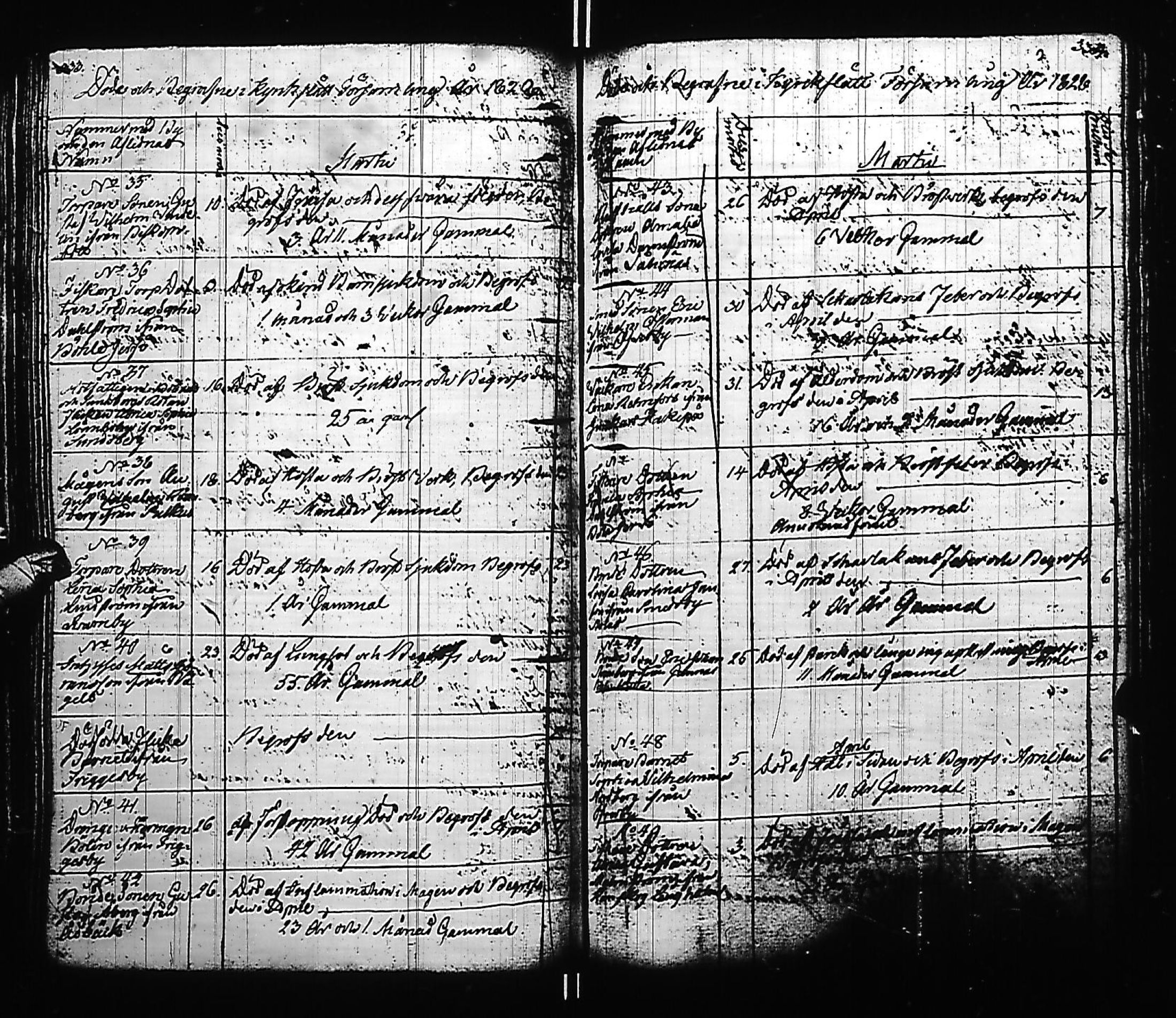[ kuvat/171.jpg ]