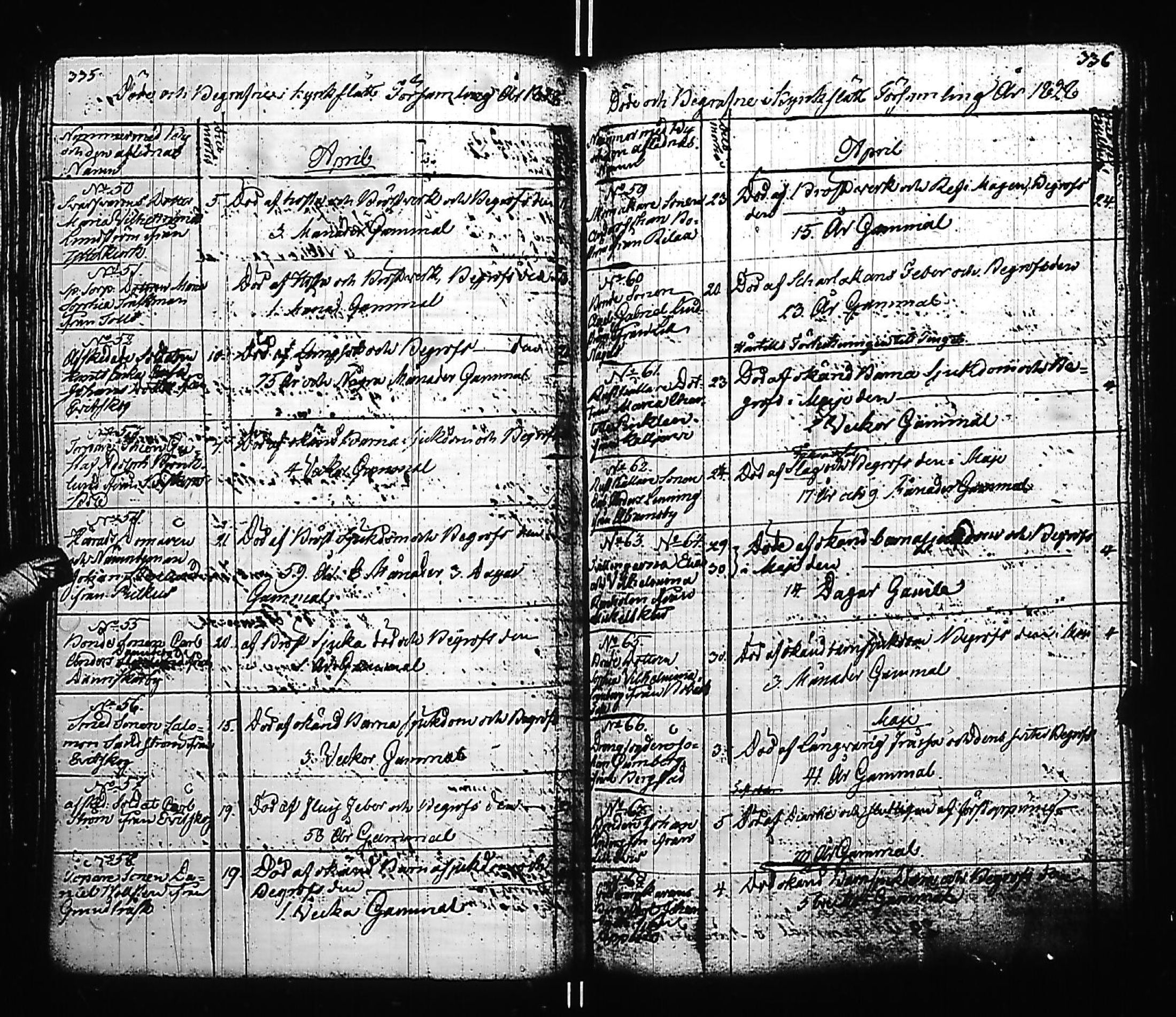 [ kuvat/172.jpg ]