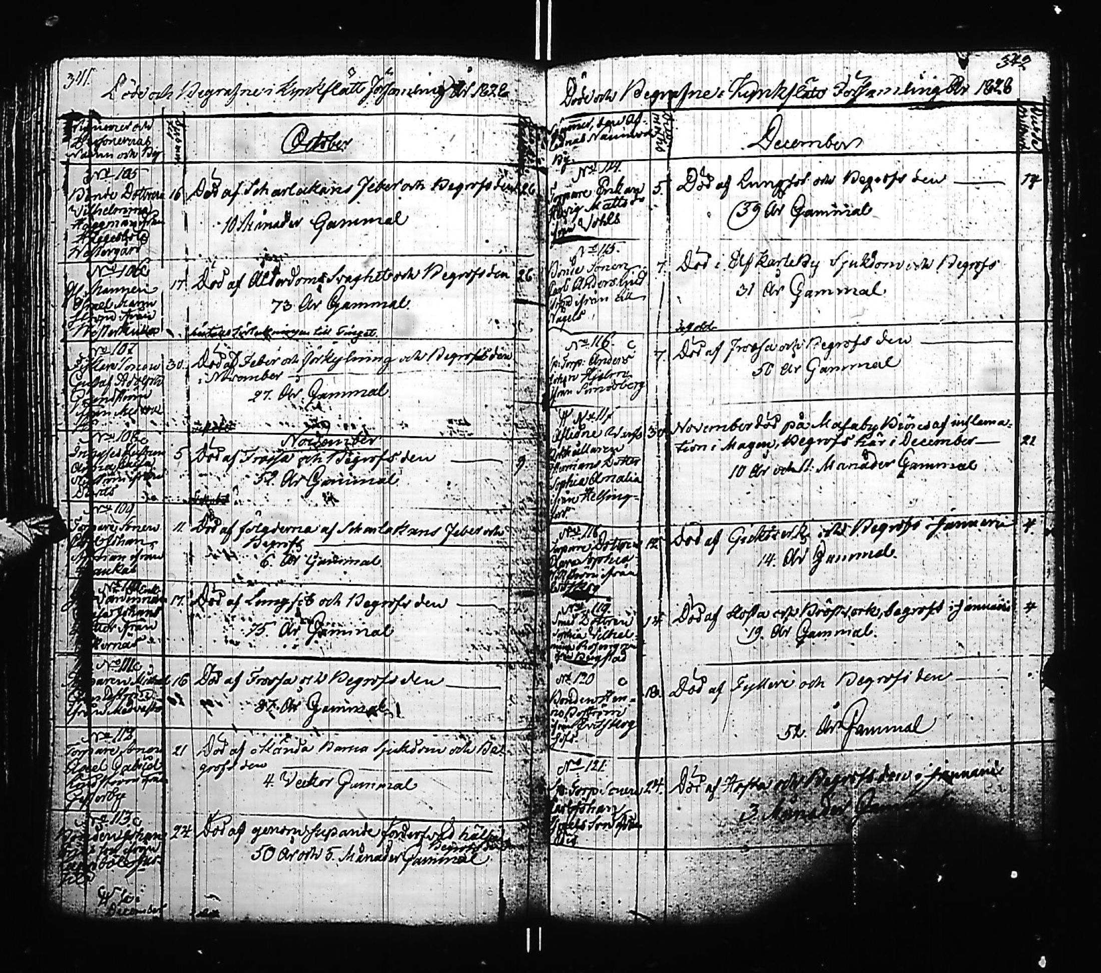 [ kuvat/175.jpg ]