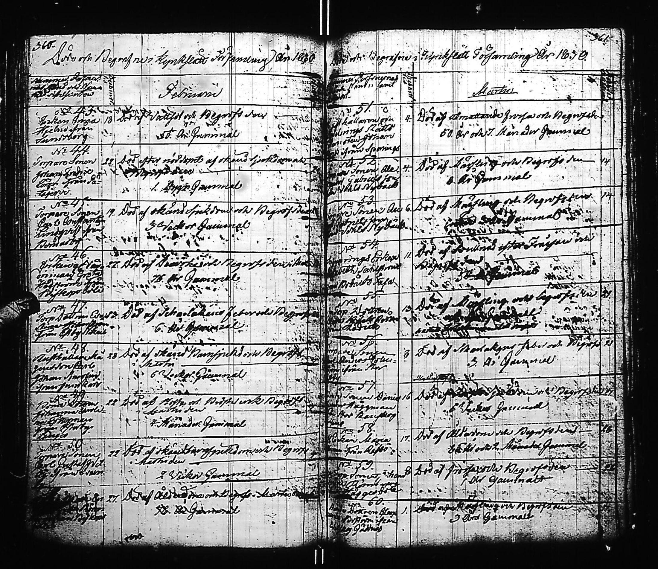 [ kuvat/185.jpg ]