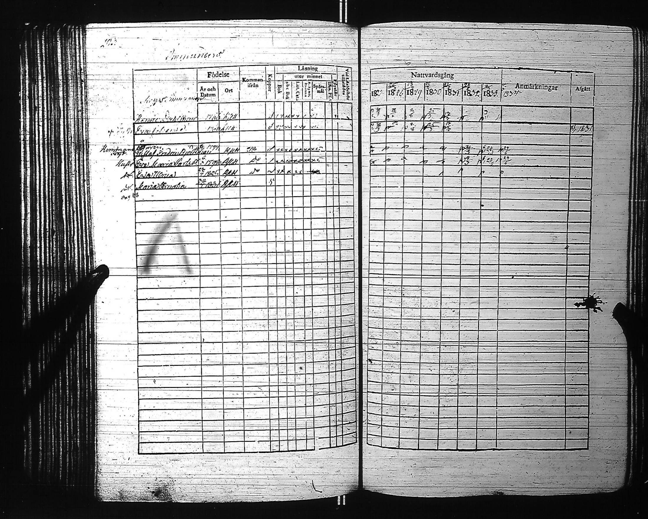 [ kuvat/219.jpg ]