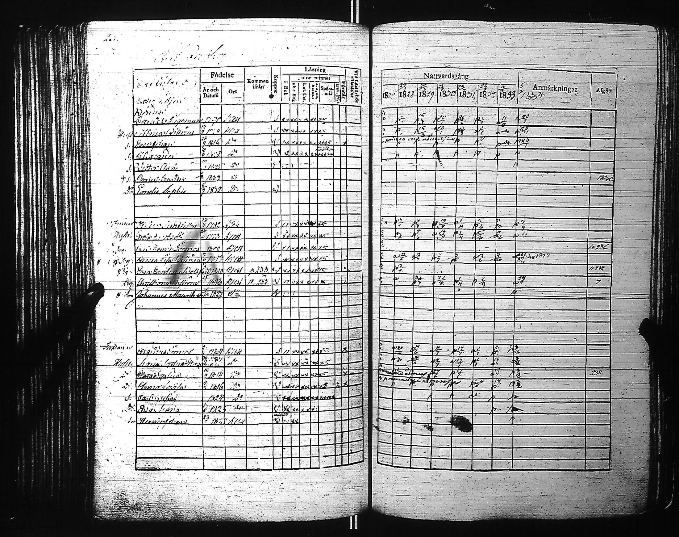 [ kuvat/247.jpg ]