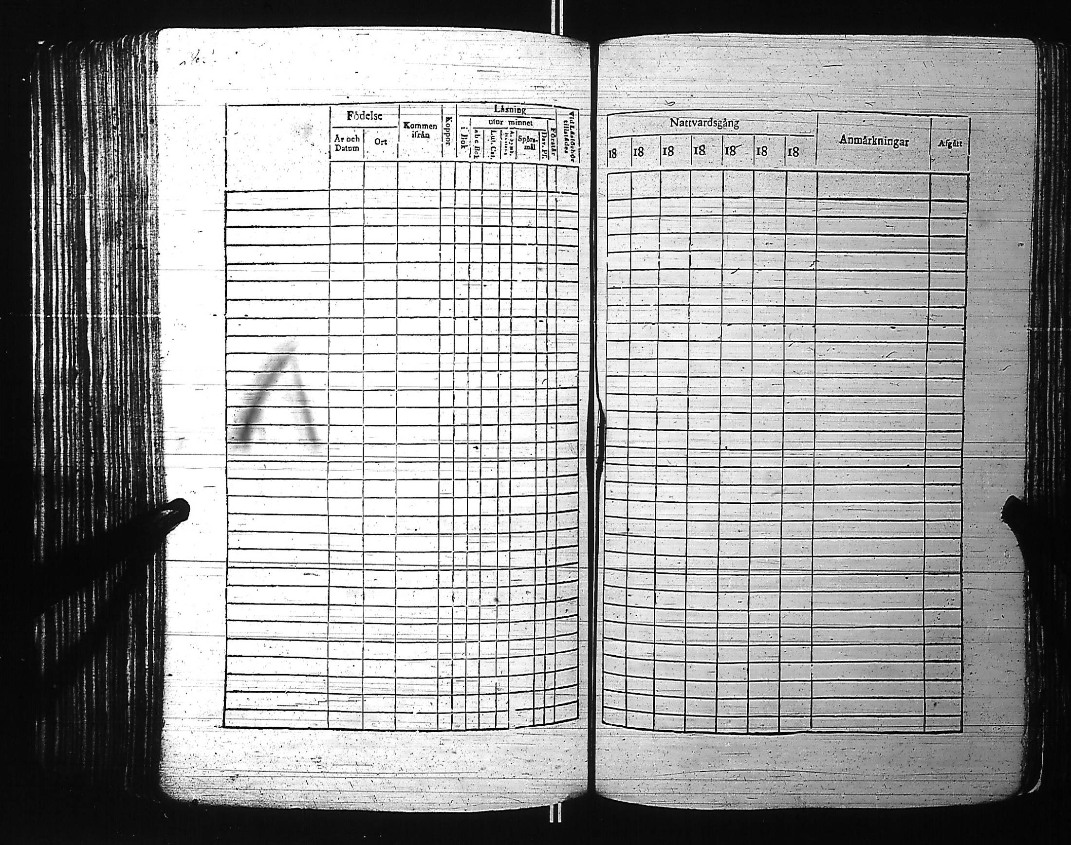 [ kuvat/297.jpg ]