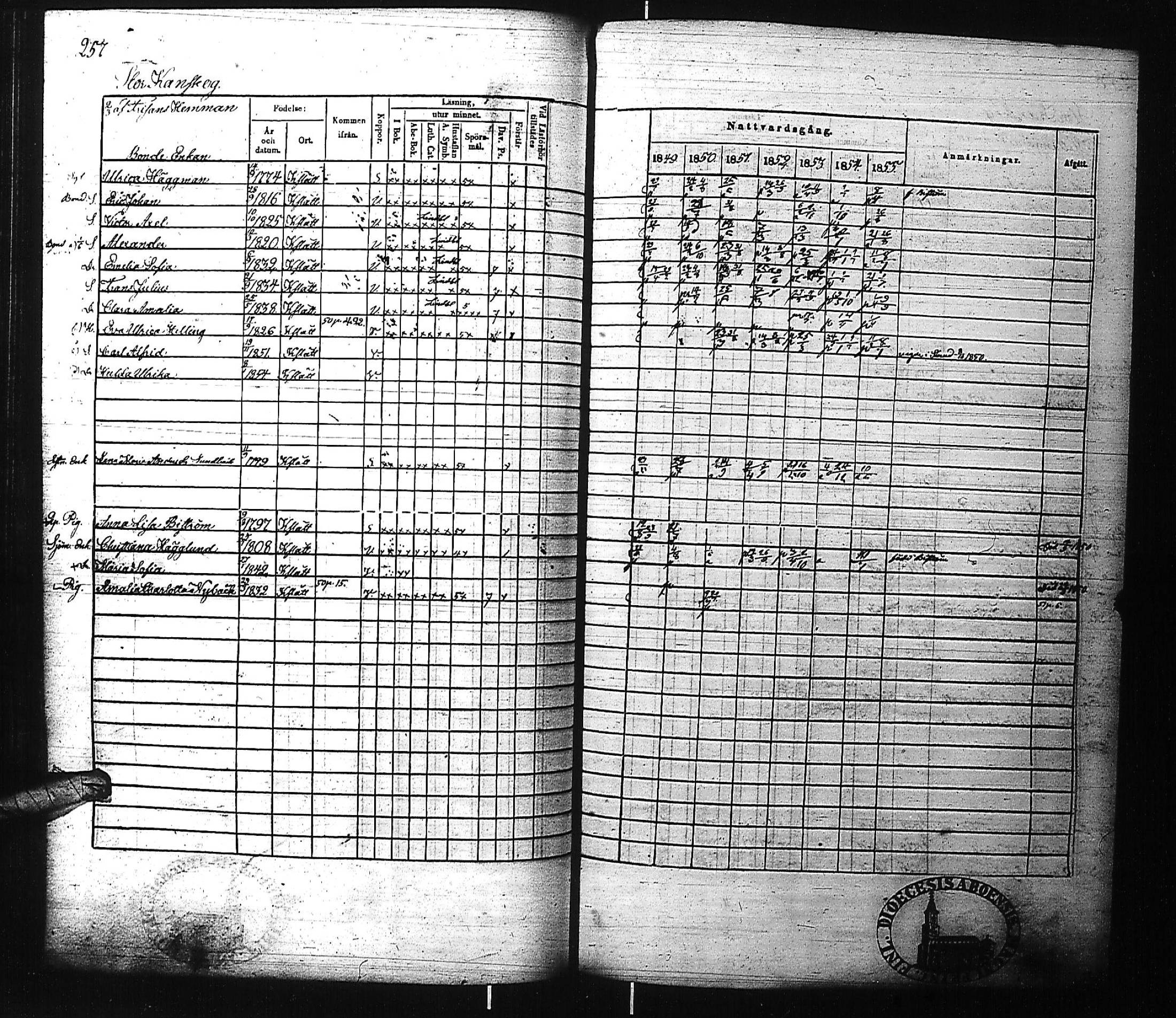 [ kuvat/262.jpg ]