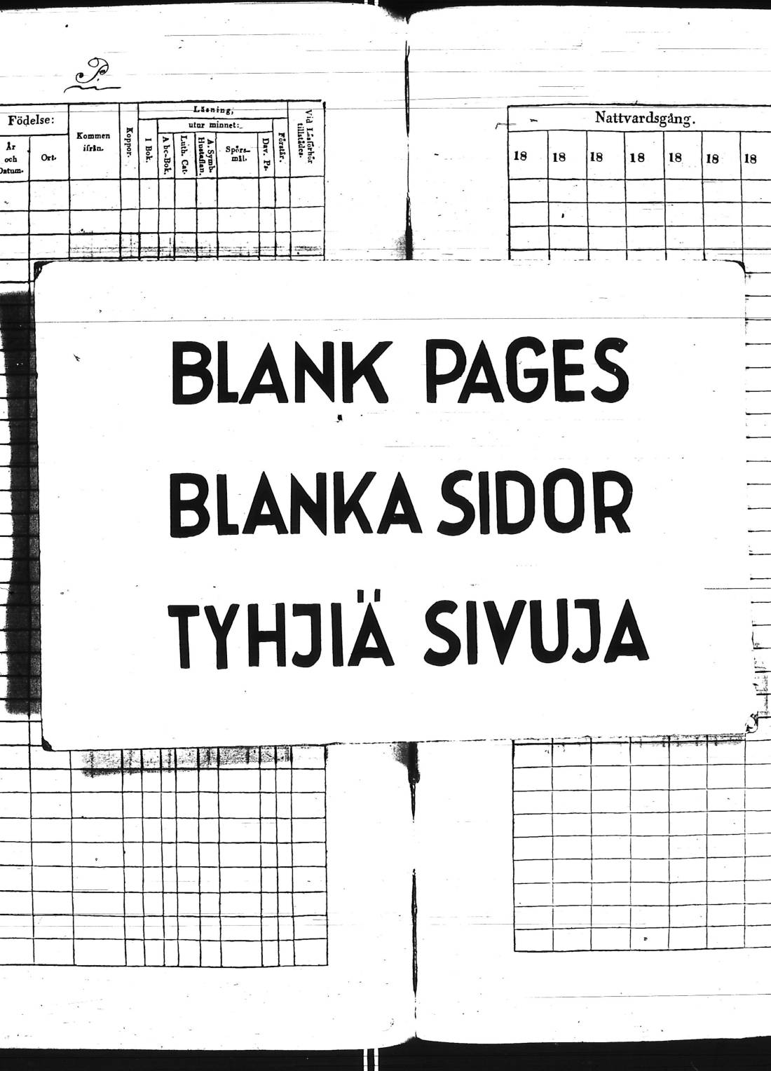 [ kuvat/155.jpg ]