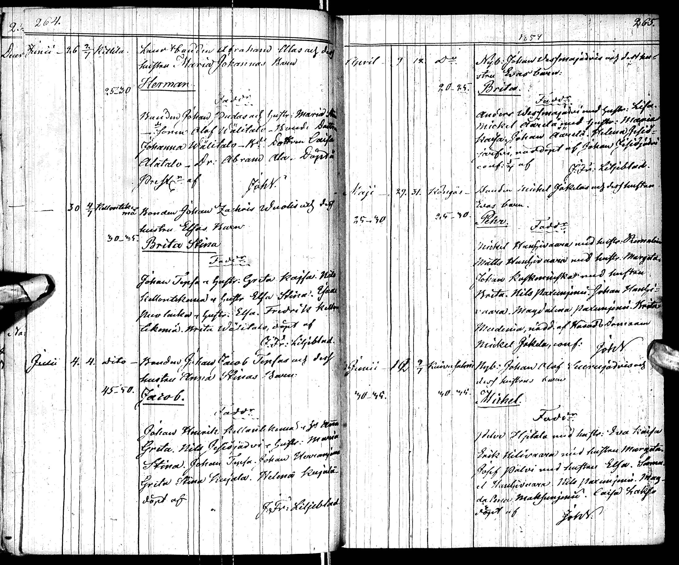 [ kuvat/118.jpg ]
