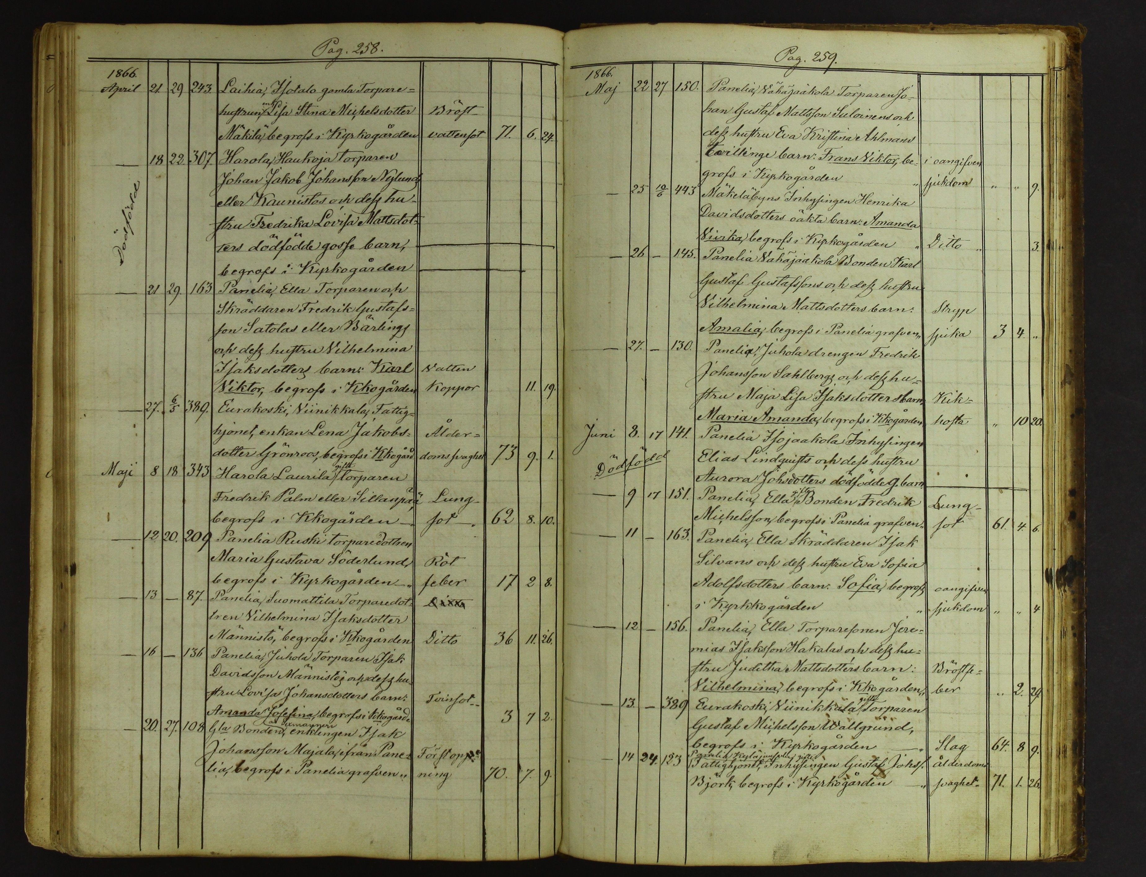 [ kuvat/131.jpg ]