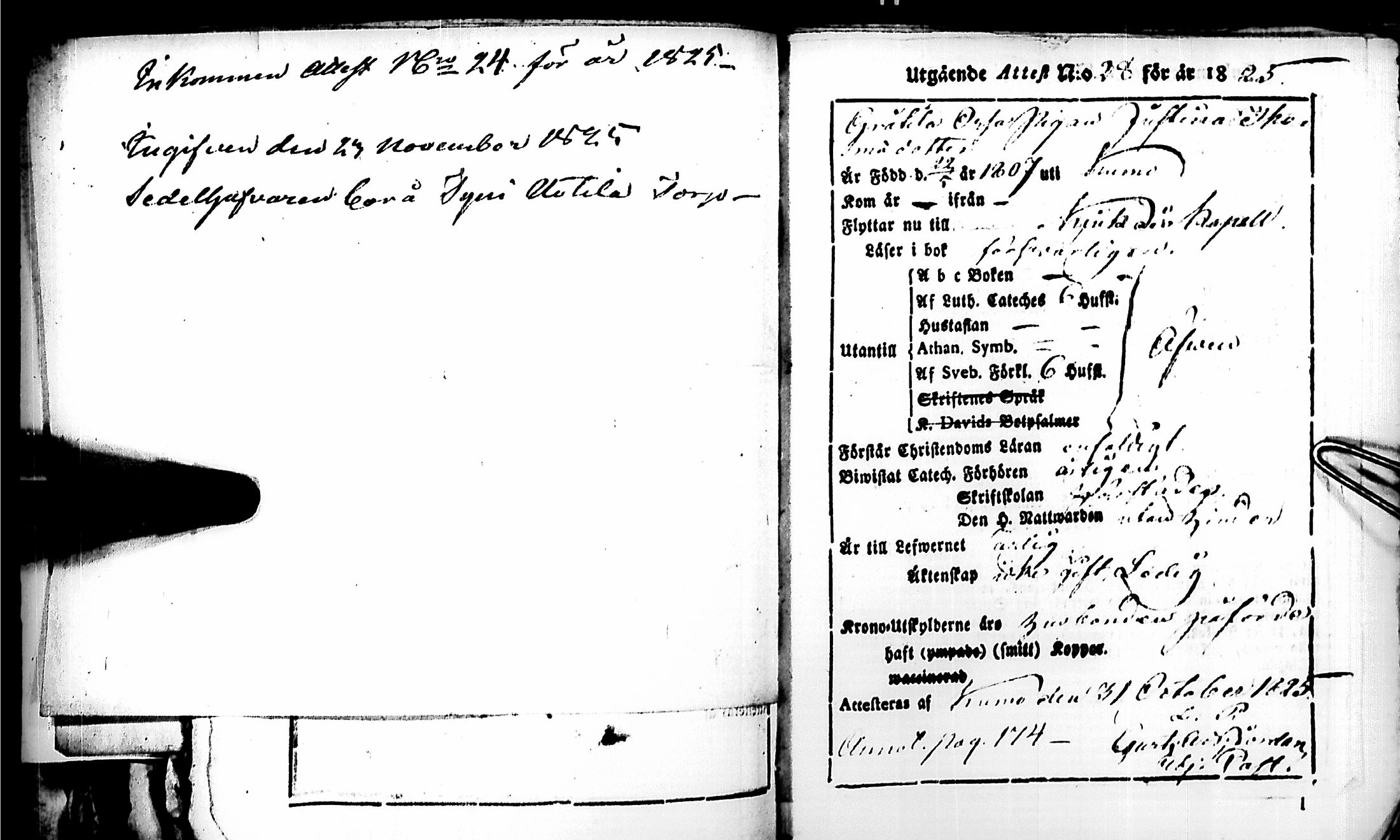 [ kuvat/239.jpg ]