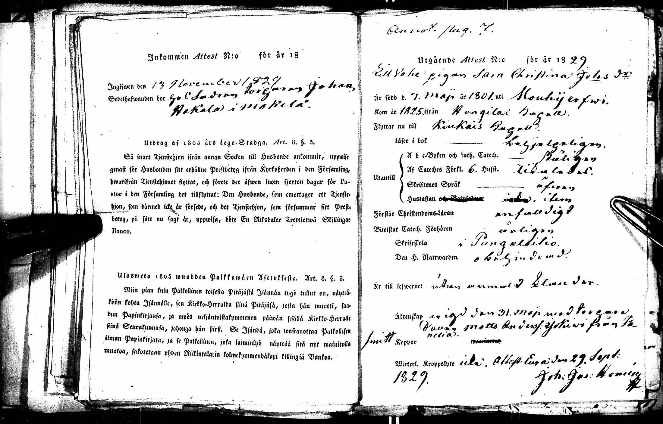 [ kuvat/45.jpg ]