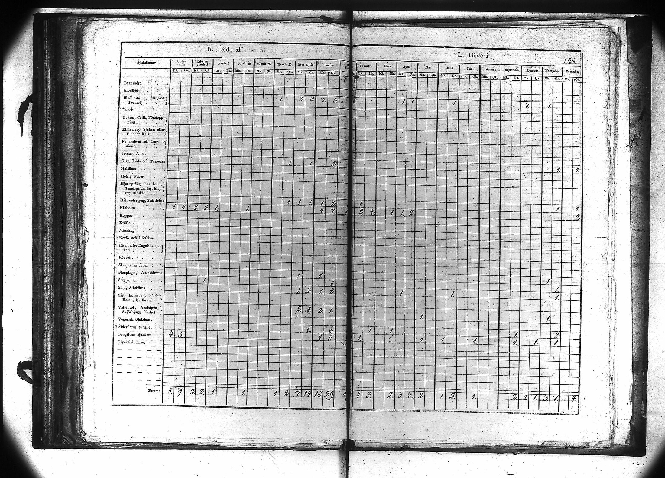 [ kuvat/107.jpg ]
