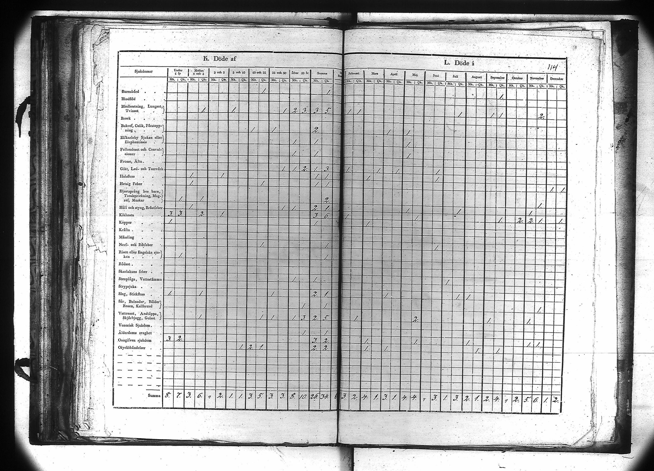 [ kuvat/115.jpg ]