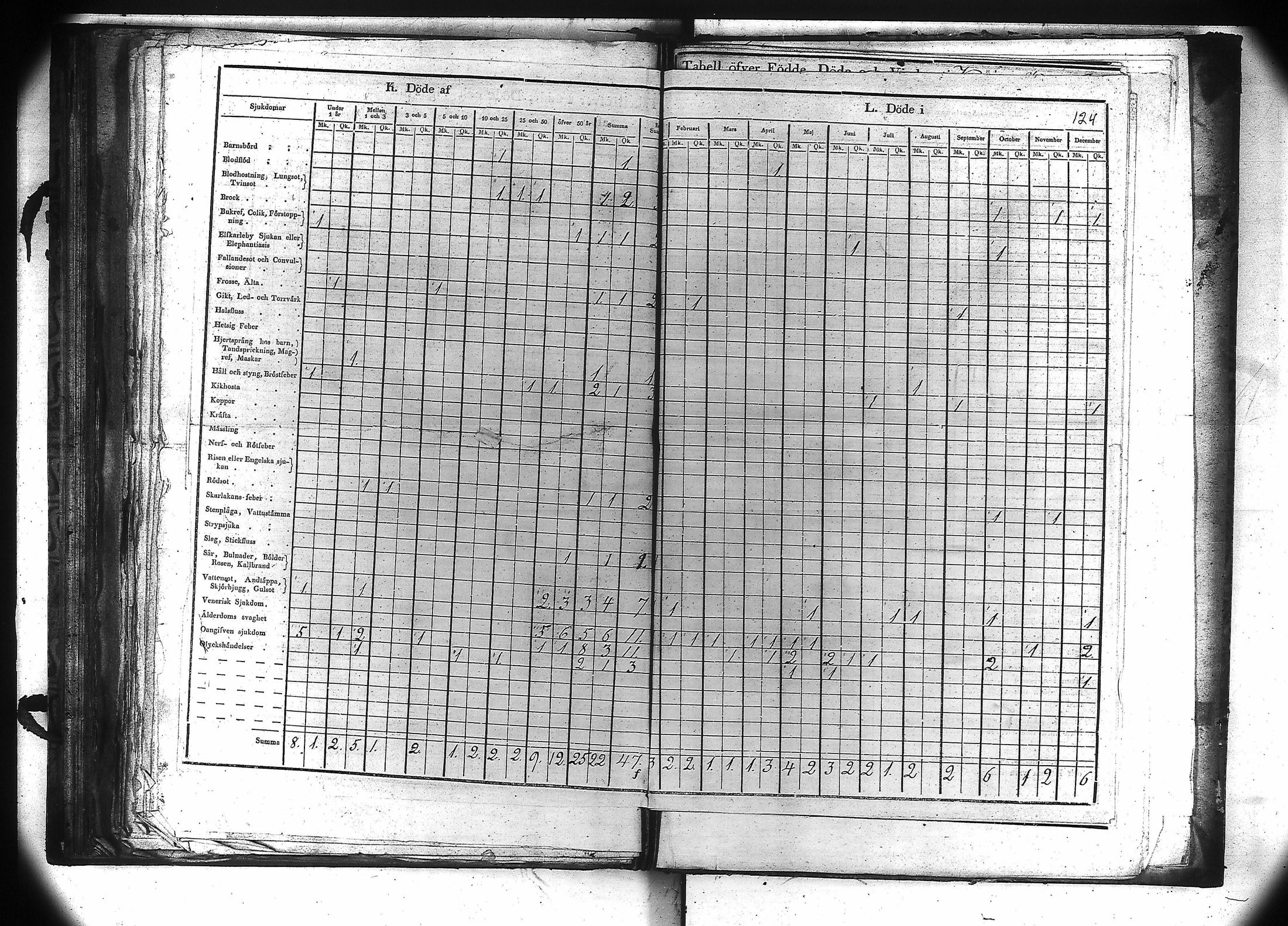 [ kuvat/125.jpg ]
