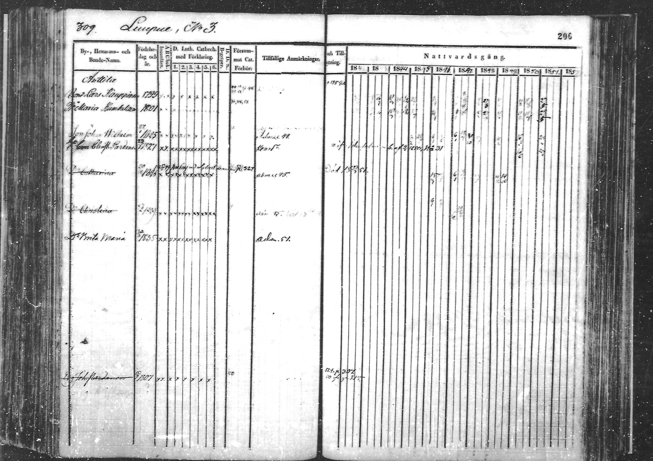 [ kuvat/207.jpg ]