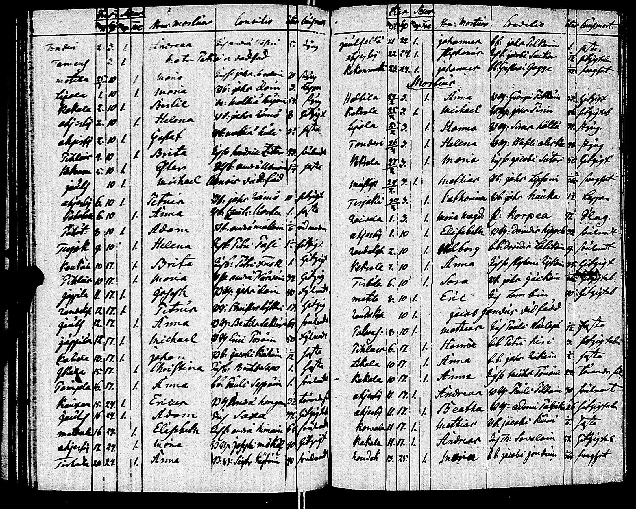 [ kuvat/195.jpg ]