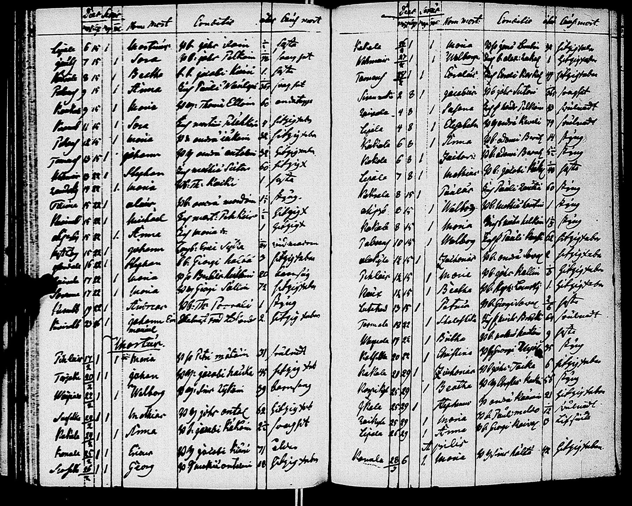[ kuvat/203.jpg ]