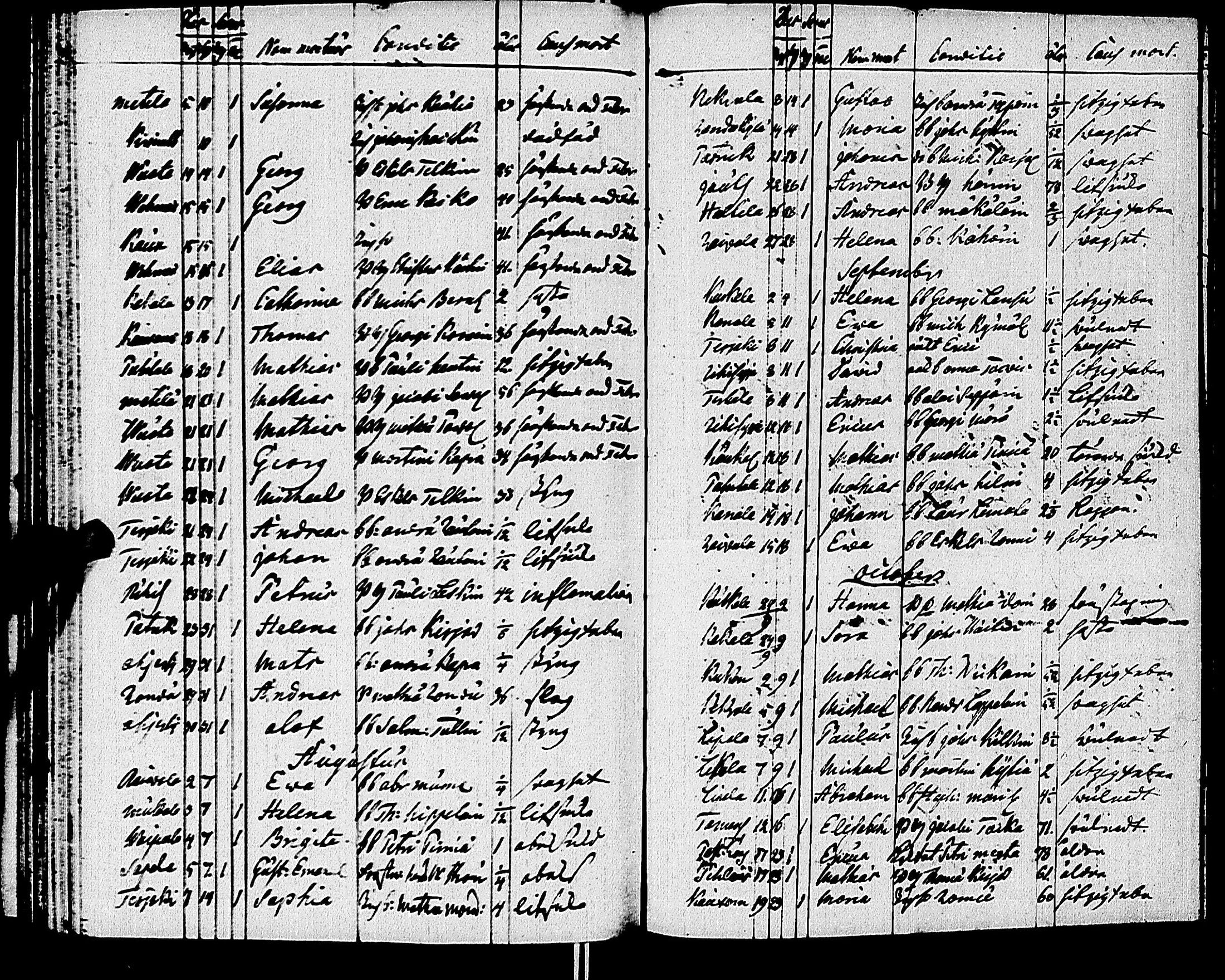 [ kuvat/208.jpg ]
