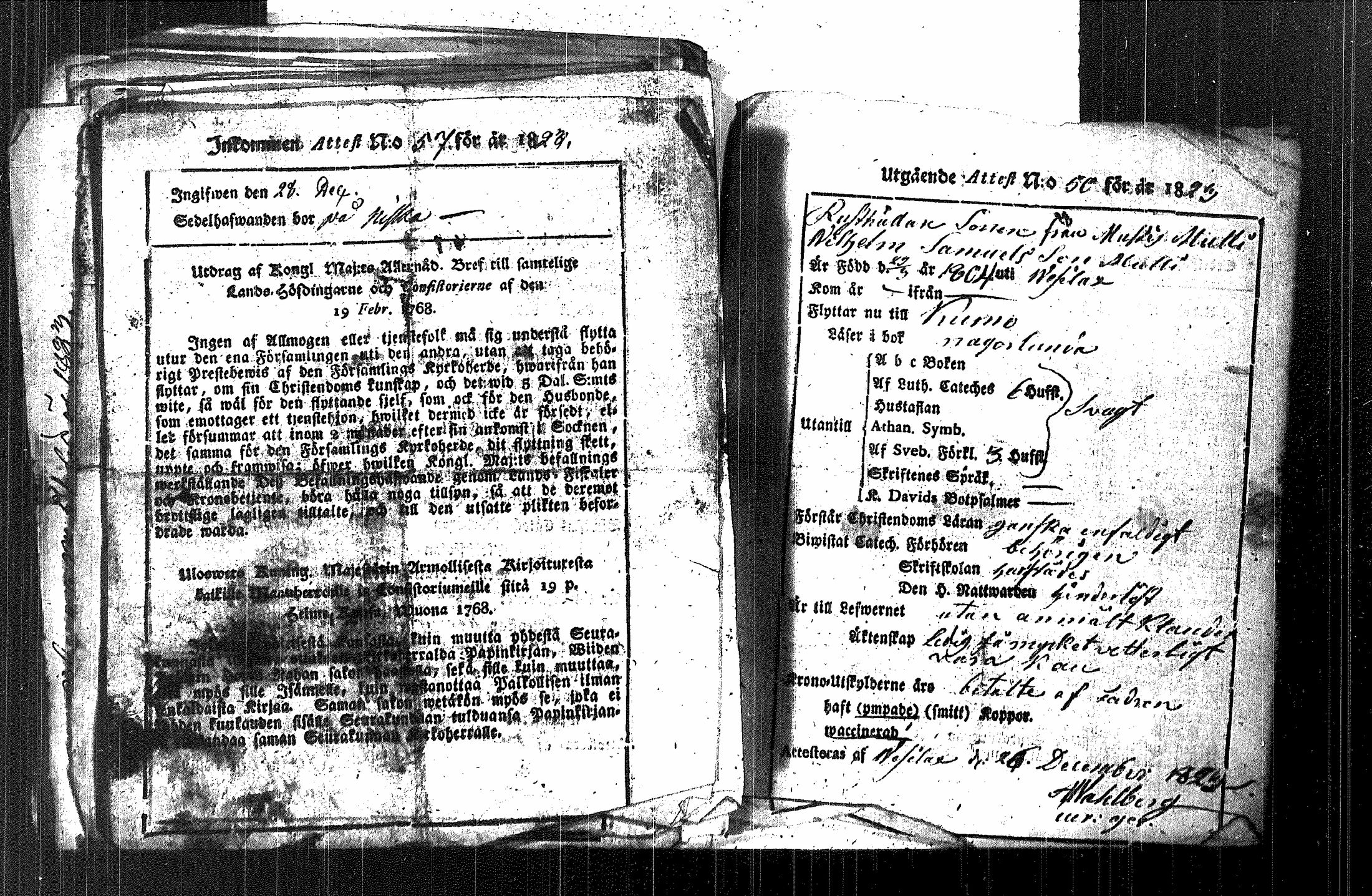 [ kuvat/175.jpg ]