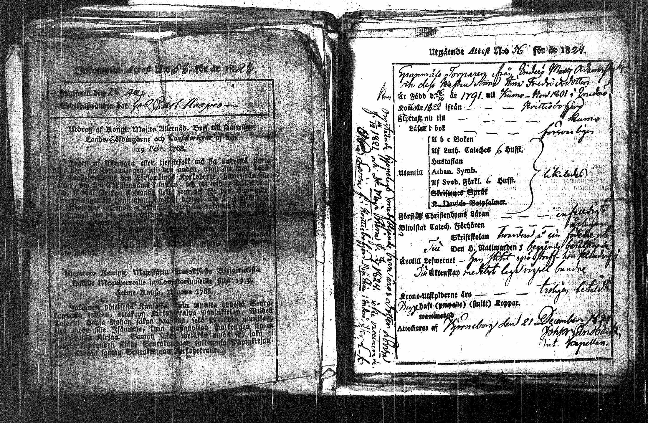 [ kuvat/176.jpg ]