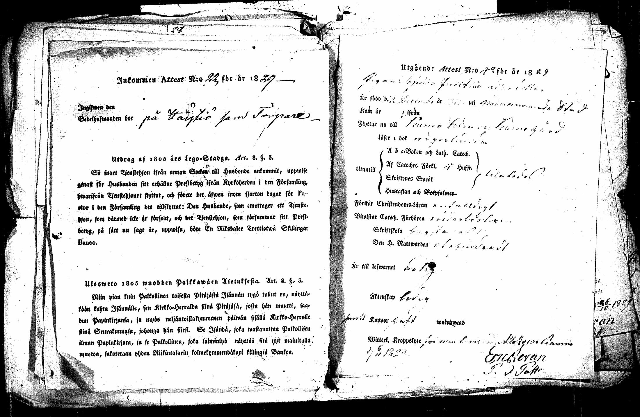 [ kuvat/447.jpg ]
