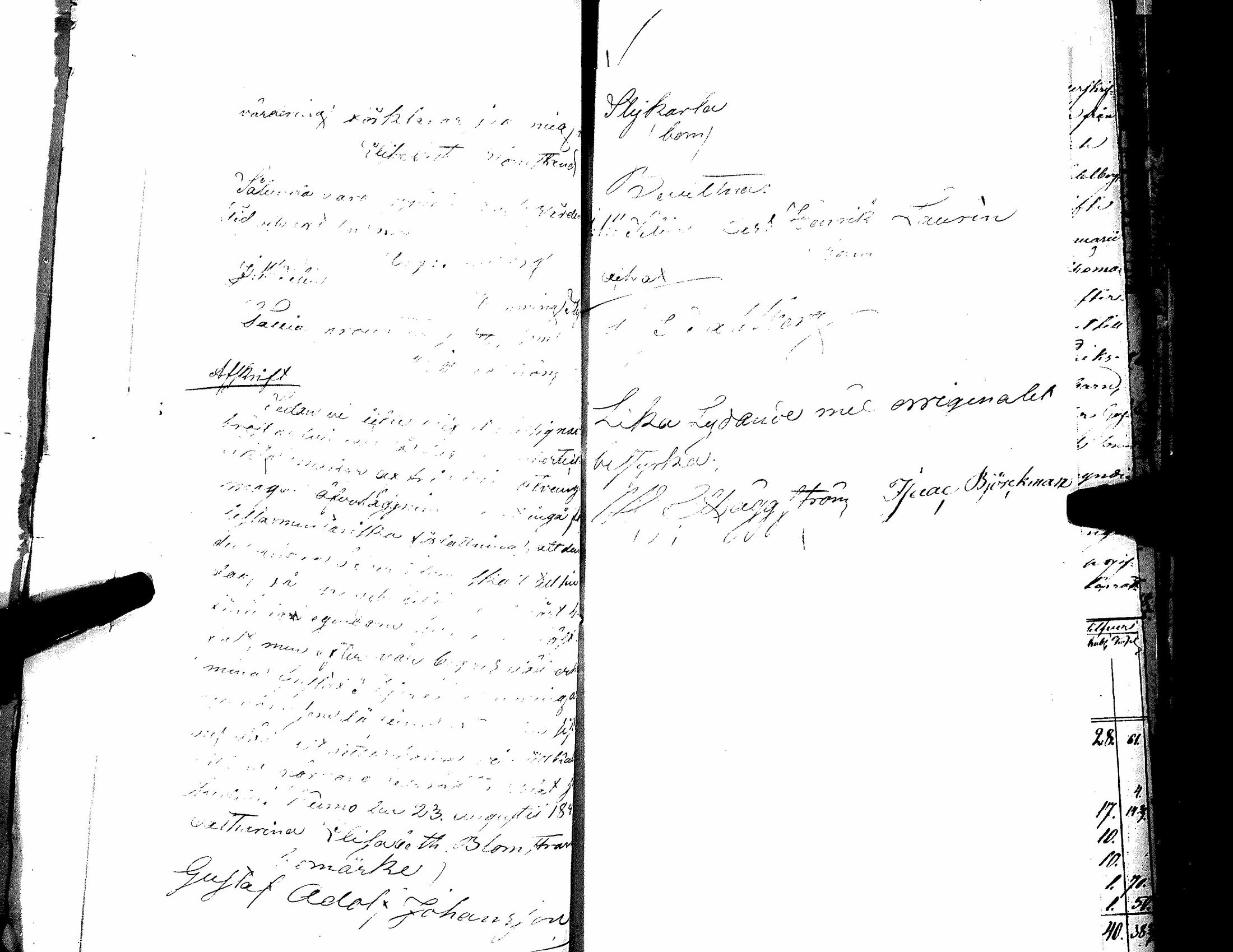 [ kuvat/161.jpg ]