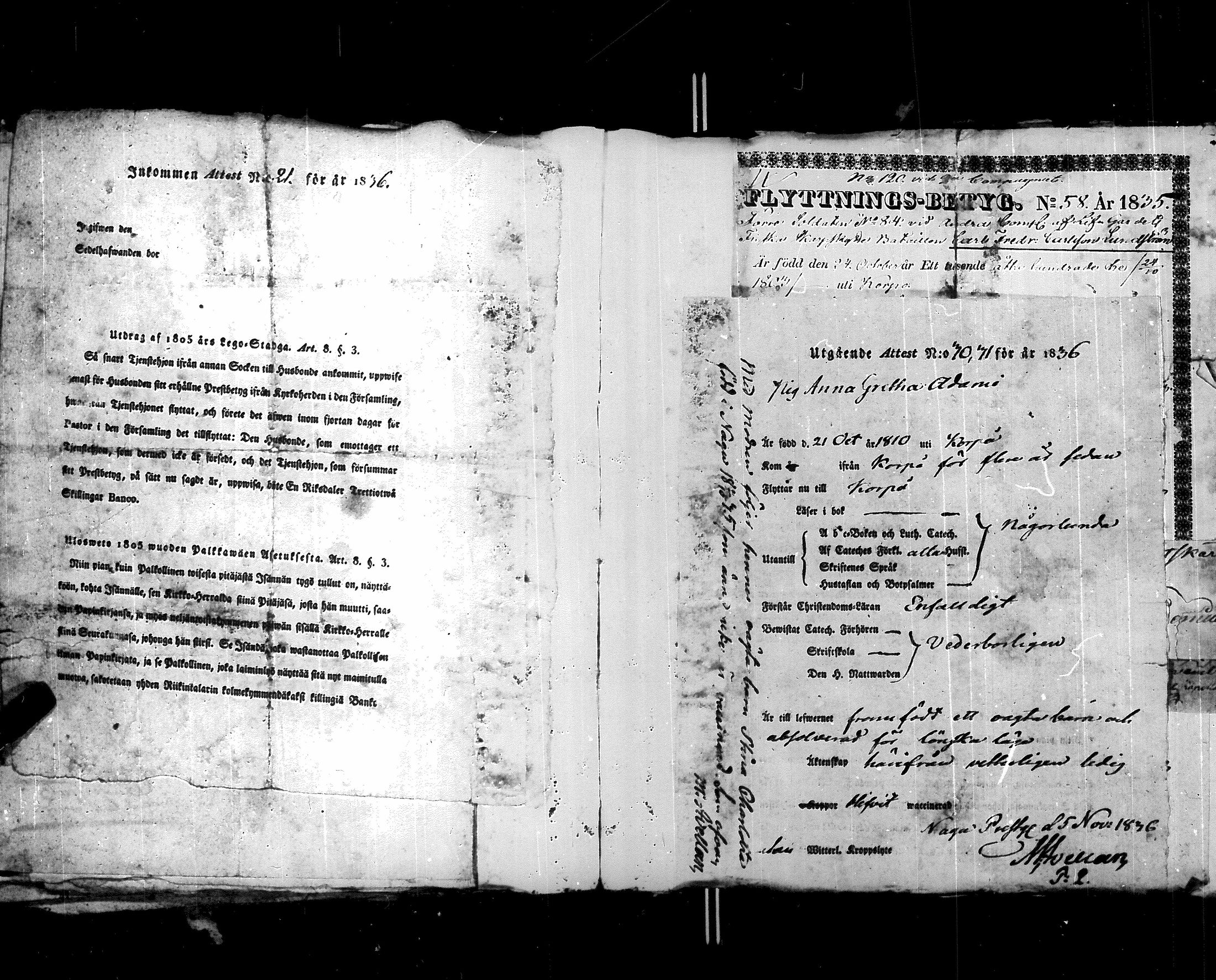 [ kuvat/146.jpg ]